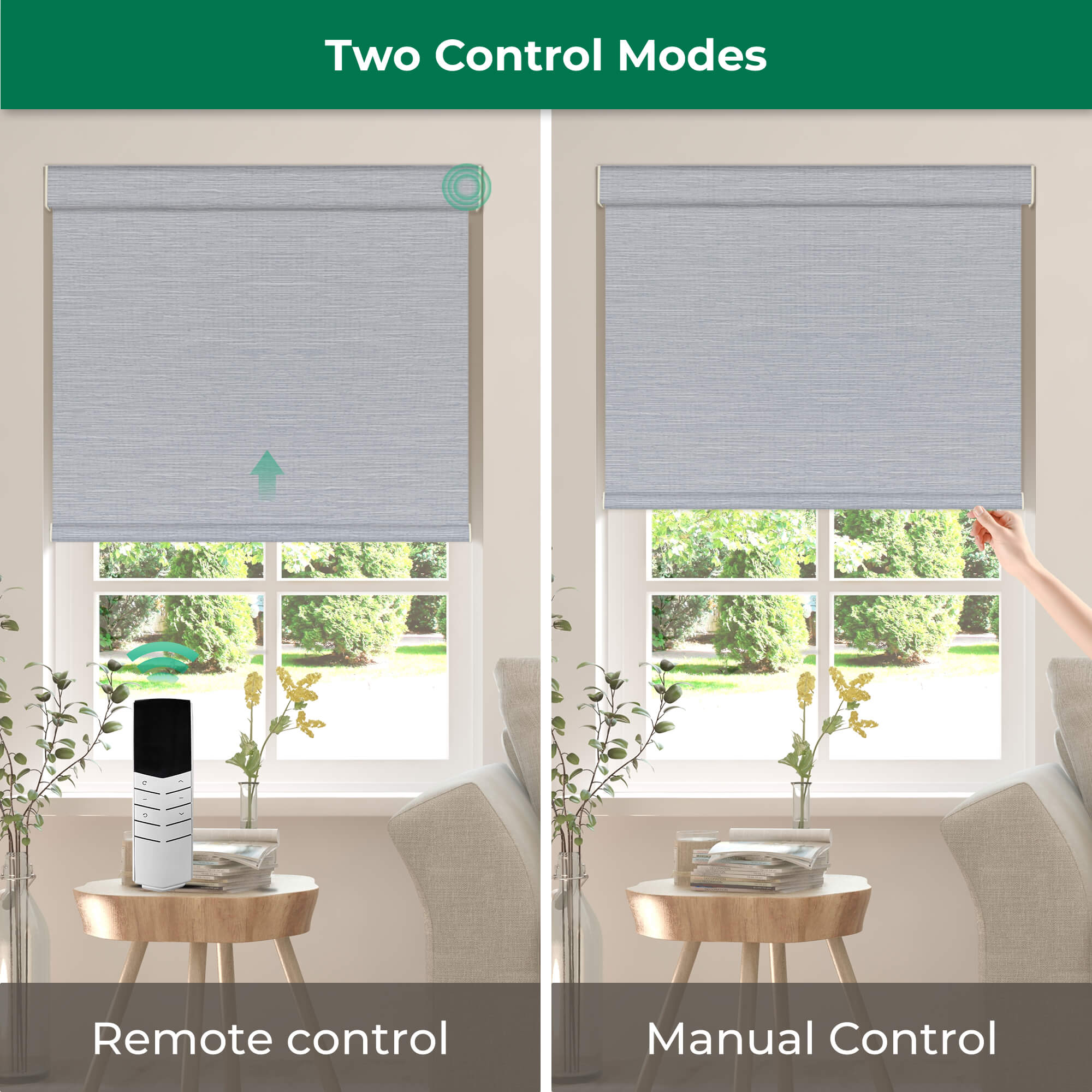 Allesin Dual-Control Blackout Roller Shades | Remote & Manual