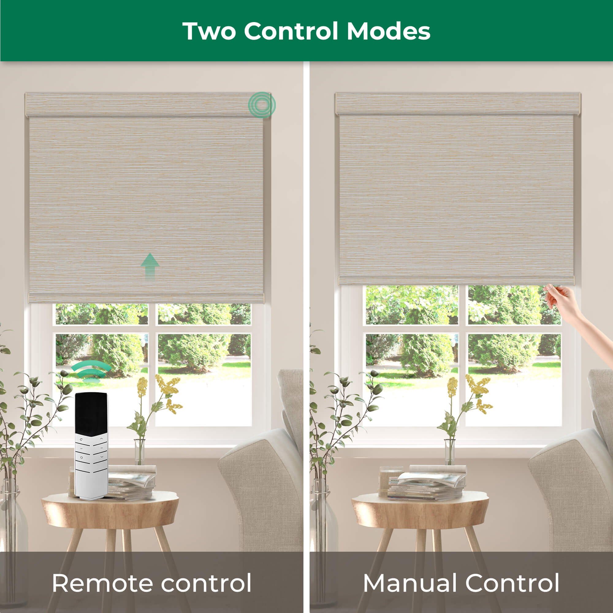 Allesin Dual-Control Blackout Roller Shades | Remote & Manual