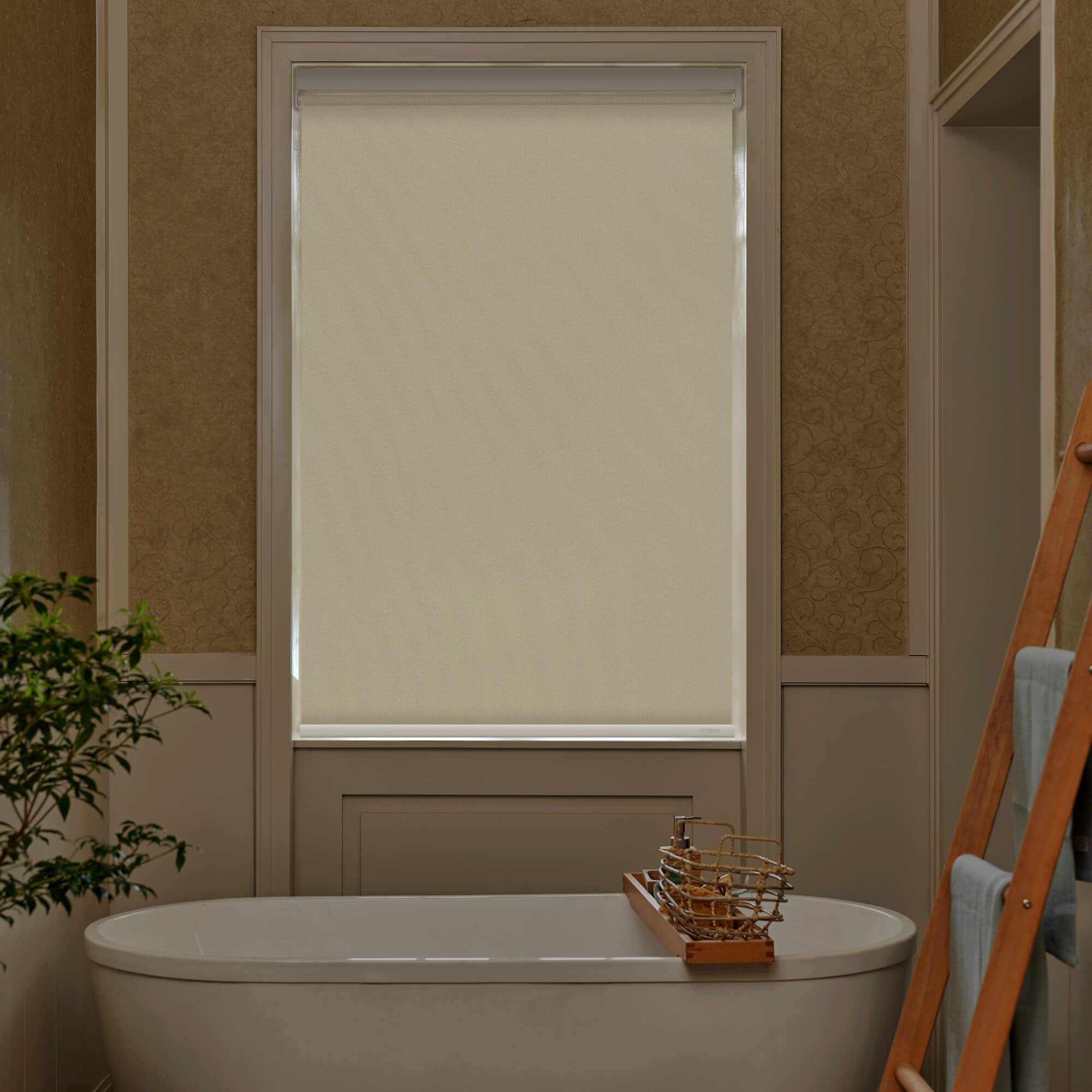 Allesin Best-Value Motorized Blackout Roller Shades