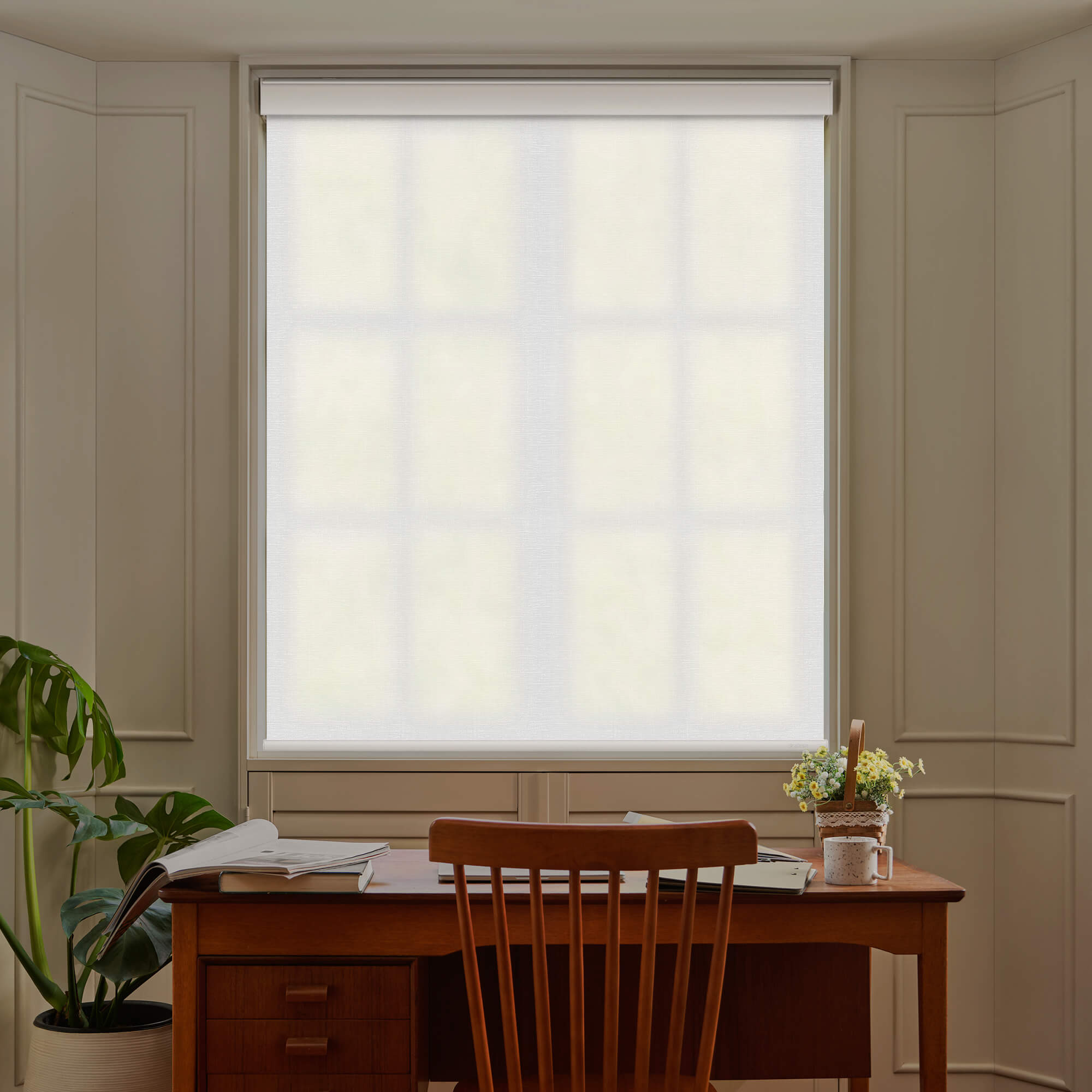 Allesin Select Motorized Light Filtering Roller Shades