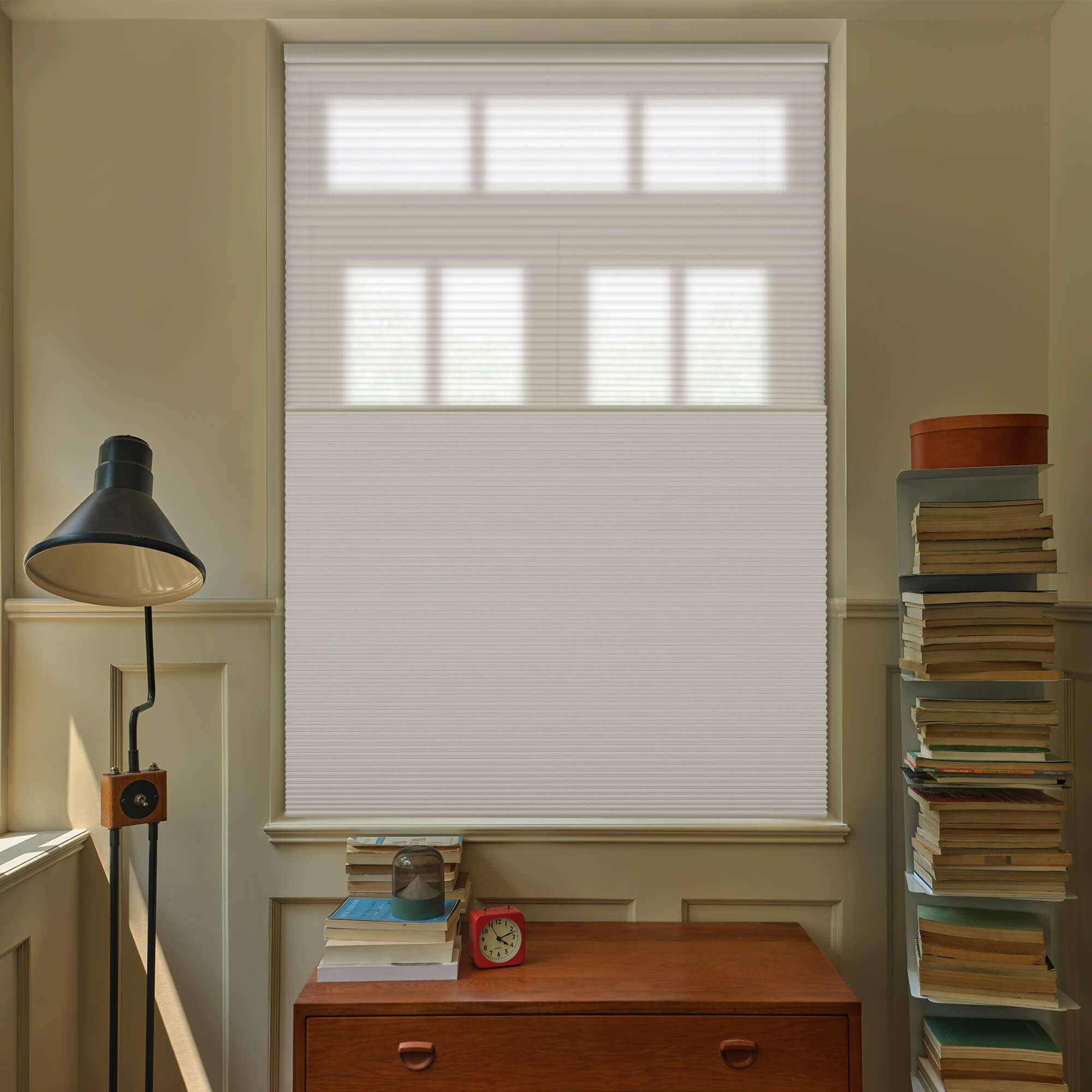 Allesin Motorized Day/Night Honeycomb Shades