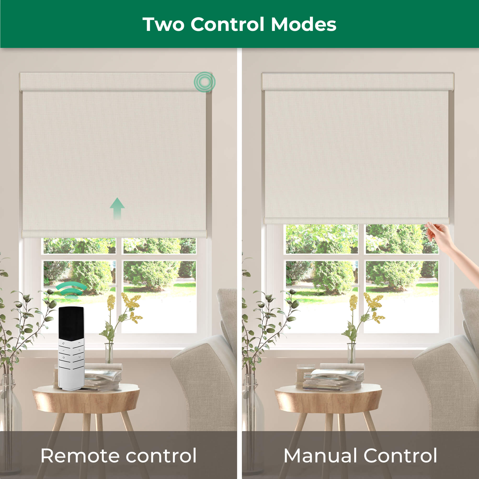 Allesin Dual-Control Blackout Roller Shades | Remote & Manual
