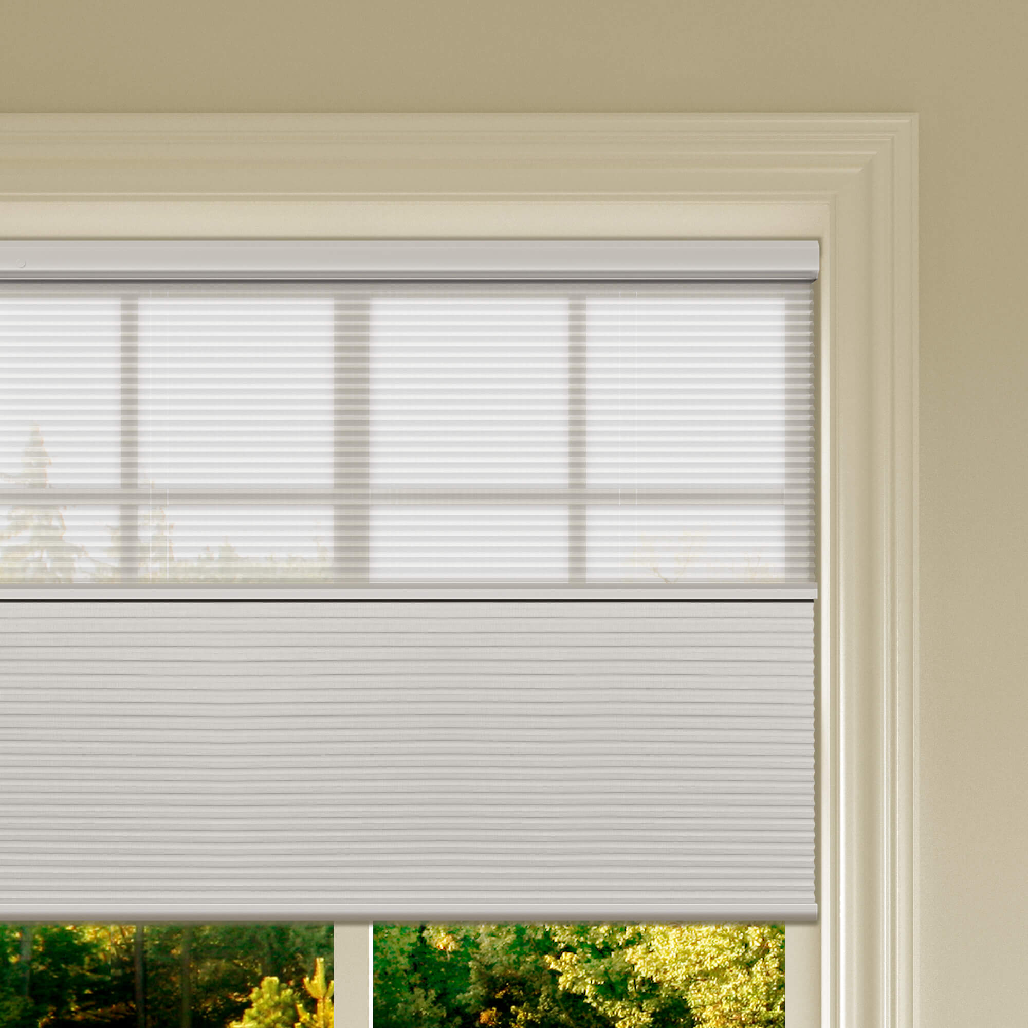 Allesin Prestige Motorized Day/Night Honeycomb Shades