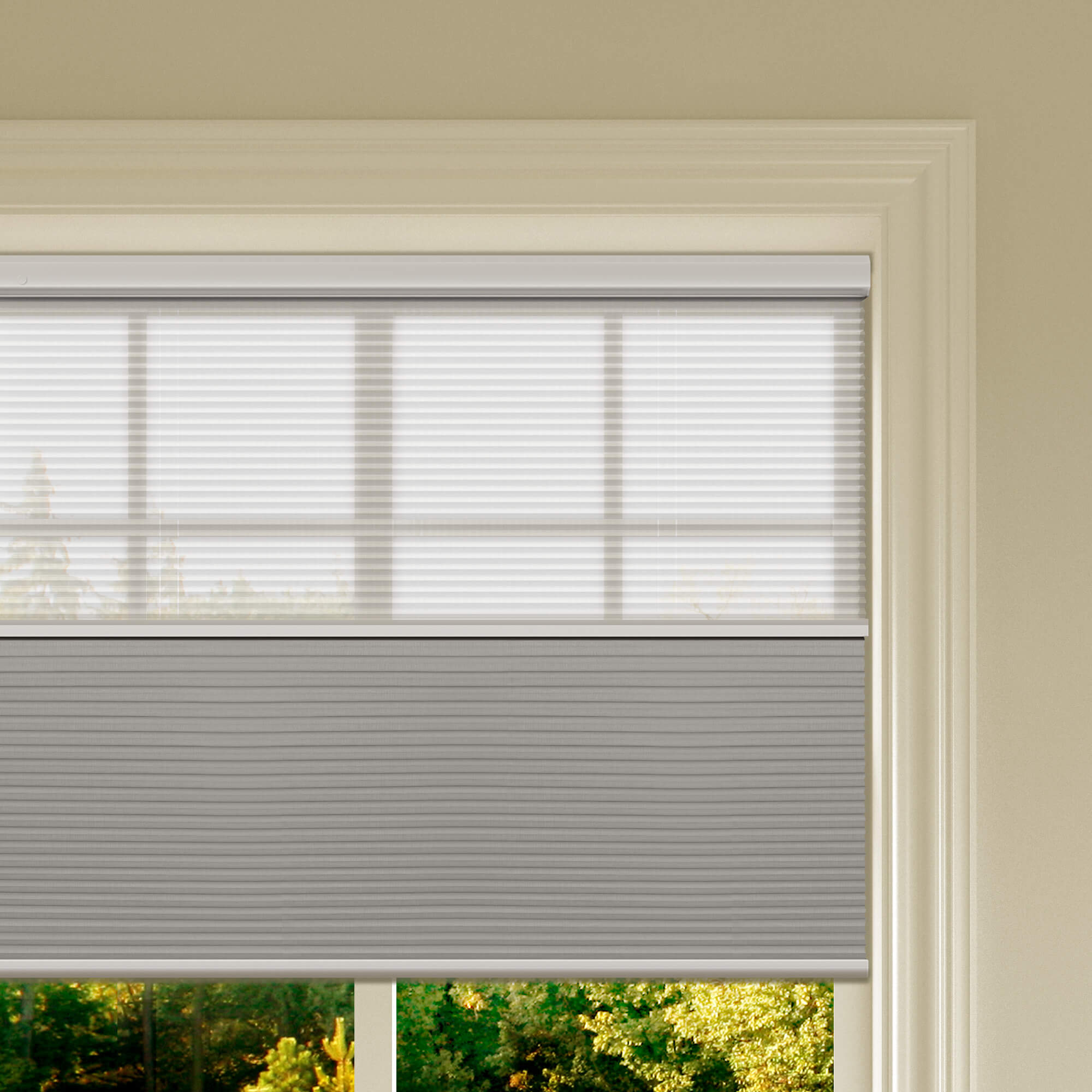 Allesin Prestige Motorized Day/Night Honeycomb Shades