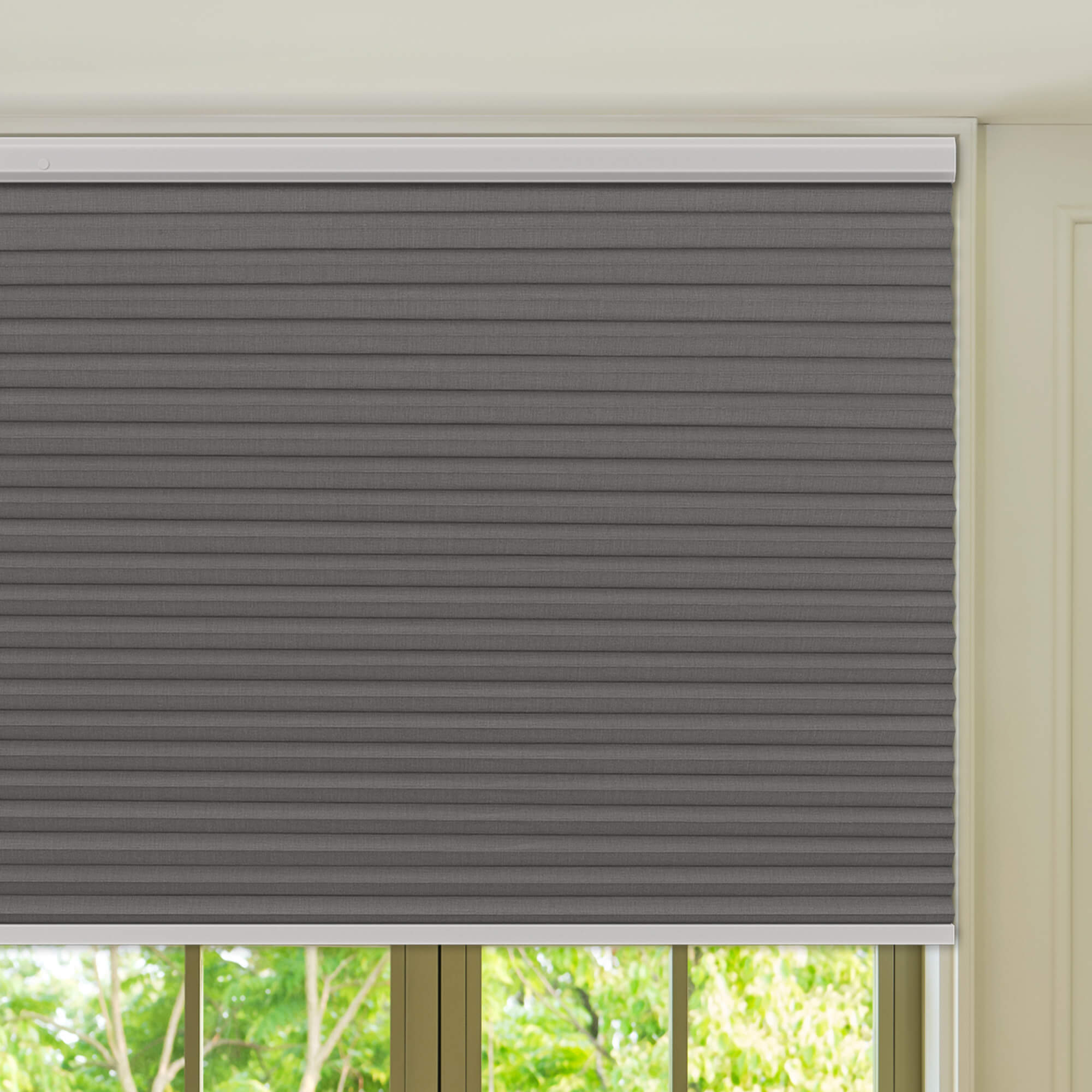 Allesin Prestige Motorized Blackout Honeycomb Shades