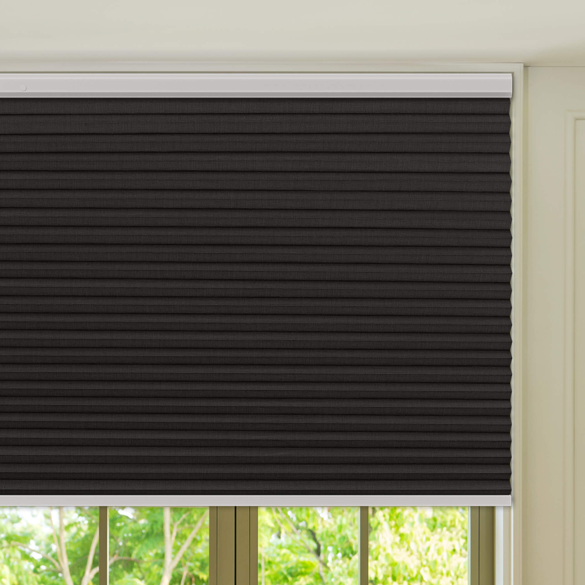 Allesin Prestige Motorized Blackout Honeycomb Shades
