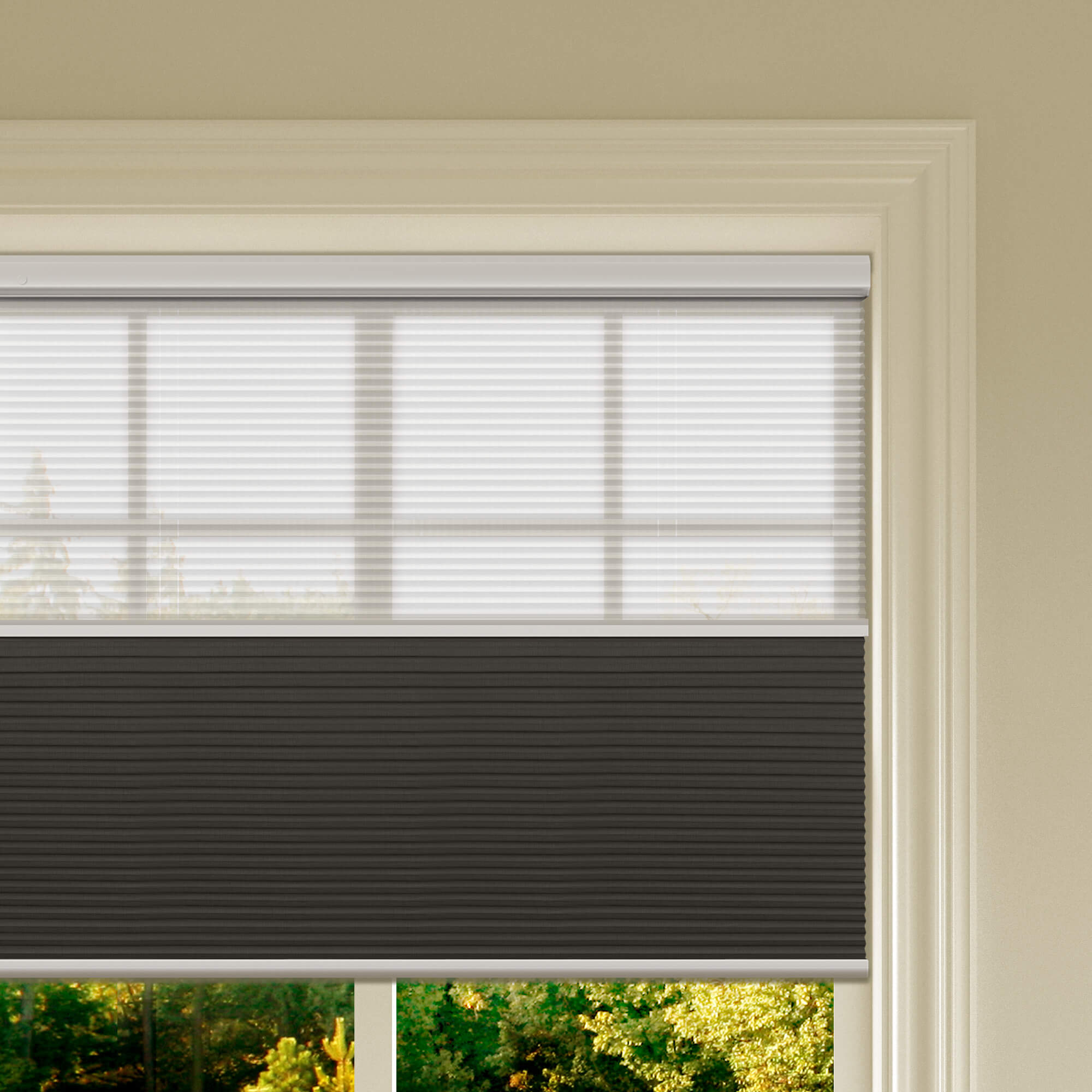 Allesin Prestige Motorized Day/Night Honeycomb Shades
