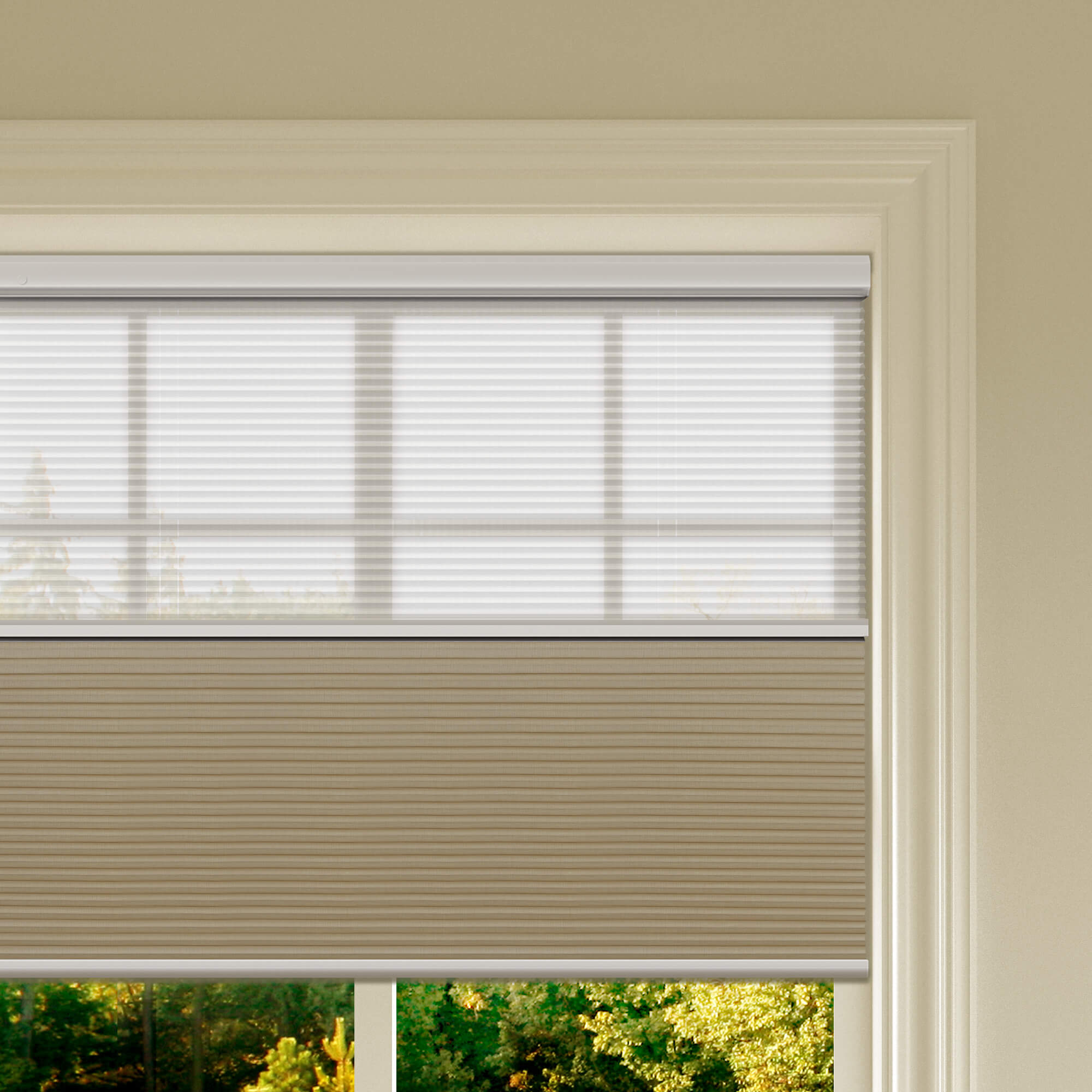 Allesin Prestige Motorized Day/Night Honeycomb Shades