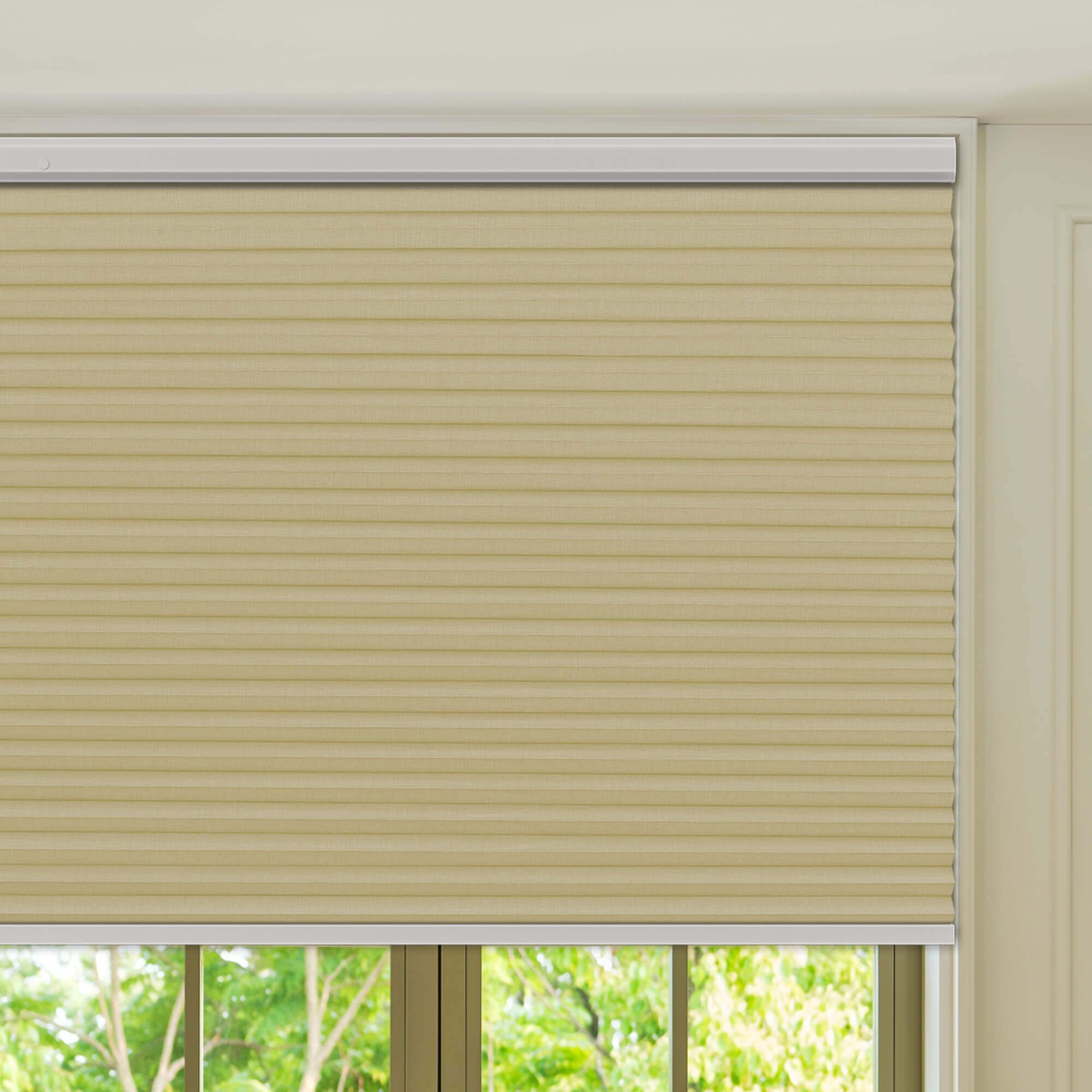 Allesin Prestige Motorized Blackout Honeycomb Shades