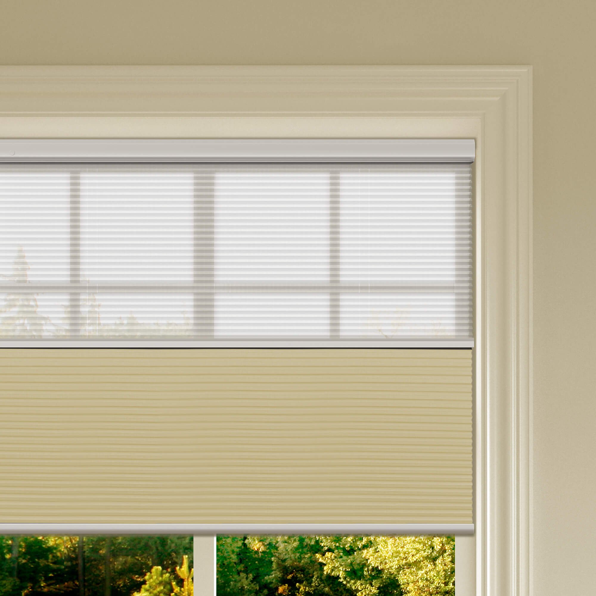 Allesin Prestige Motorized Day/Night Honeycomb Shades
