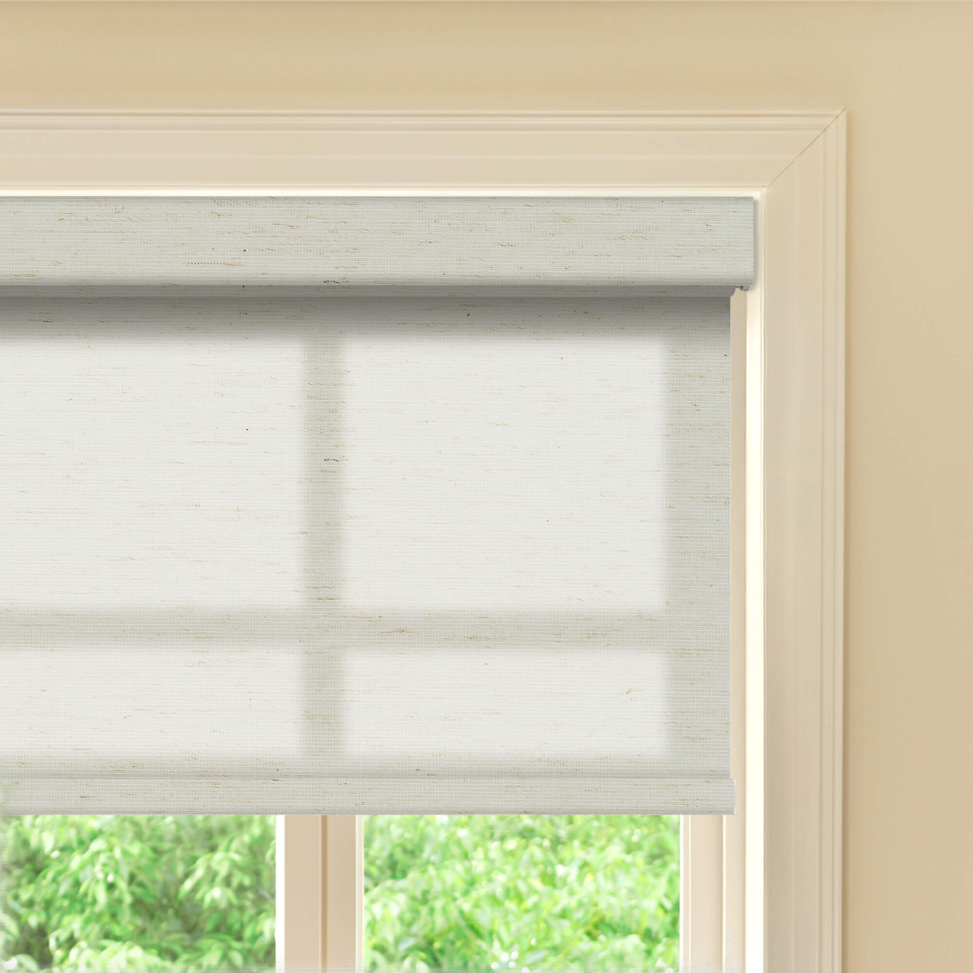 Allesin Prestige Motorized Light Filtering Roller Shades
