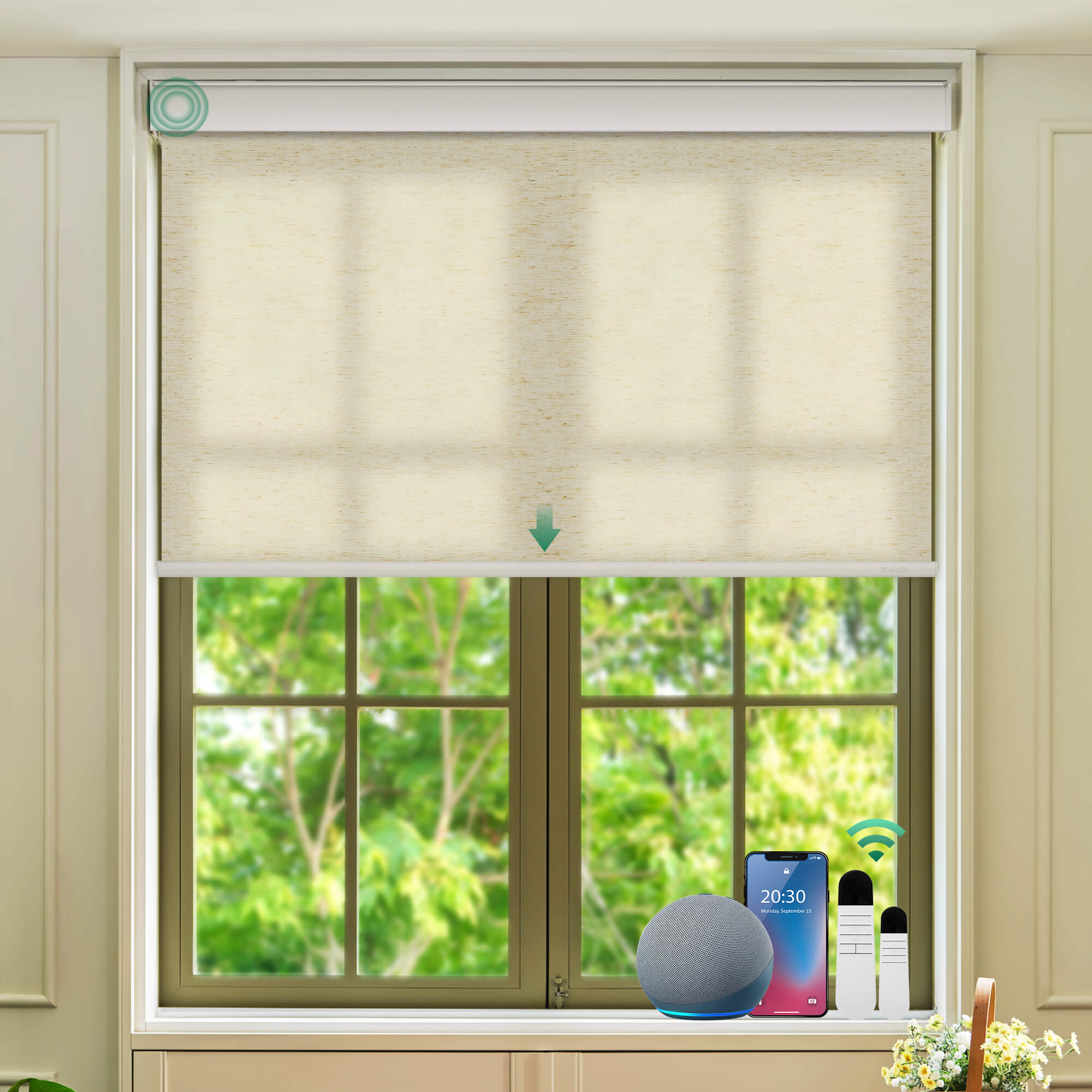 Allesin Select Motorized Light Filtering Roller Shades