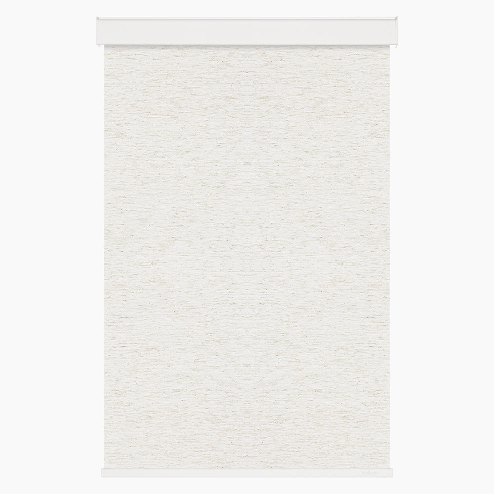 Allesin Select Motorized Blackout Roller Shades