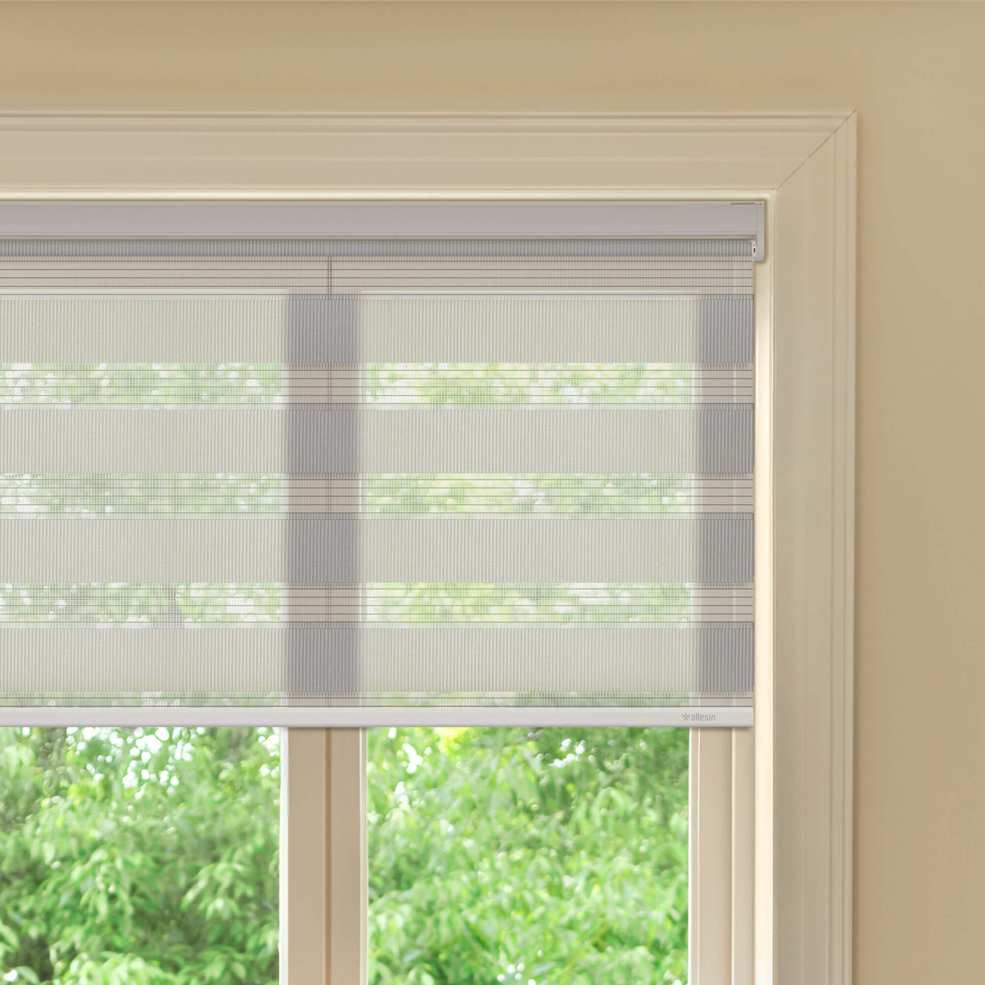 Allesin Best-Value Motorized Zebra Shades
