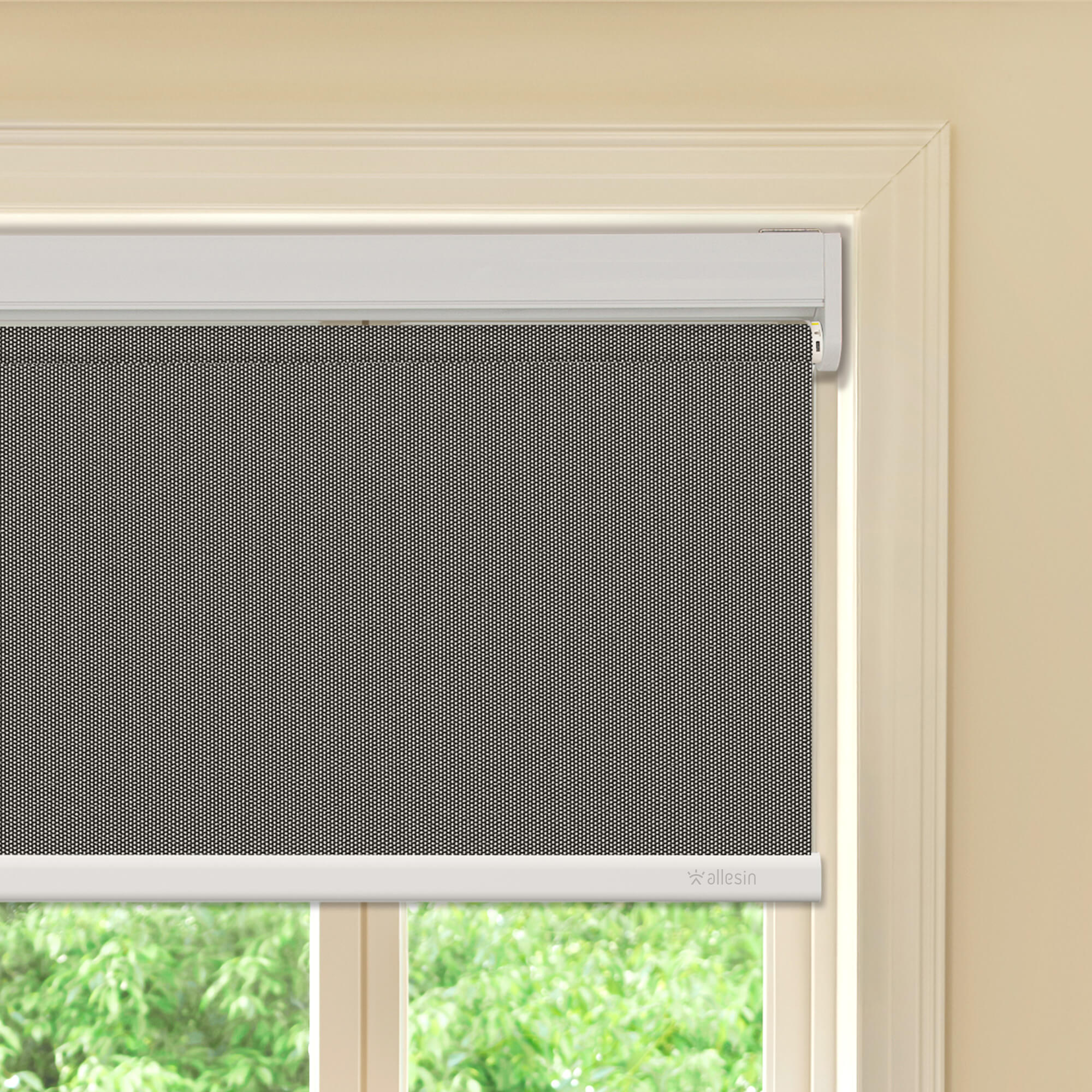 Allesin Best-Value Motorized Blackout Roller Shades