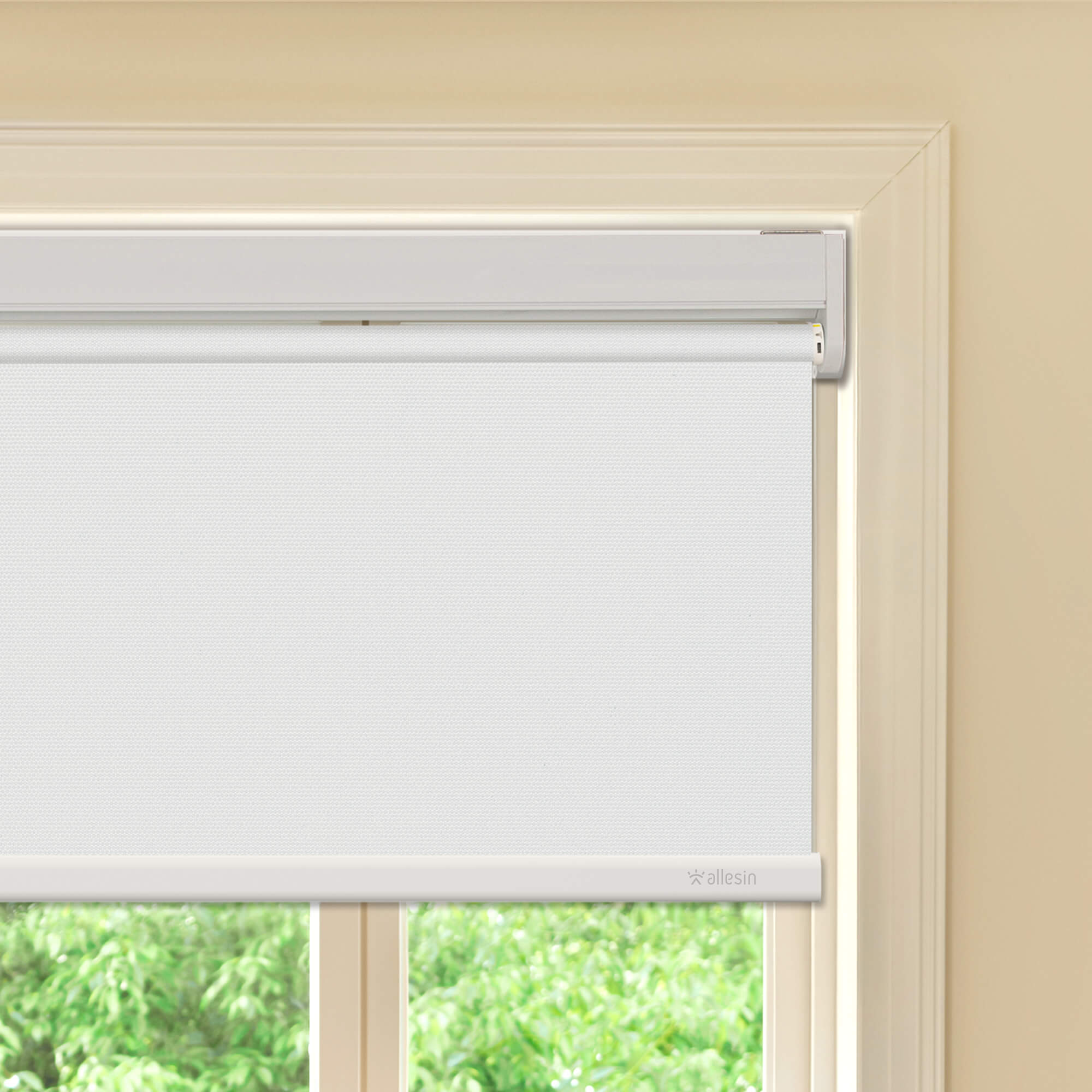Allesin Best-Value Motorized Blackout Roller Shades