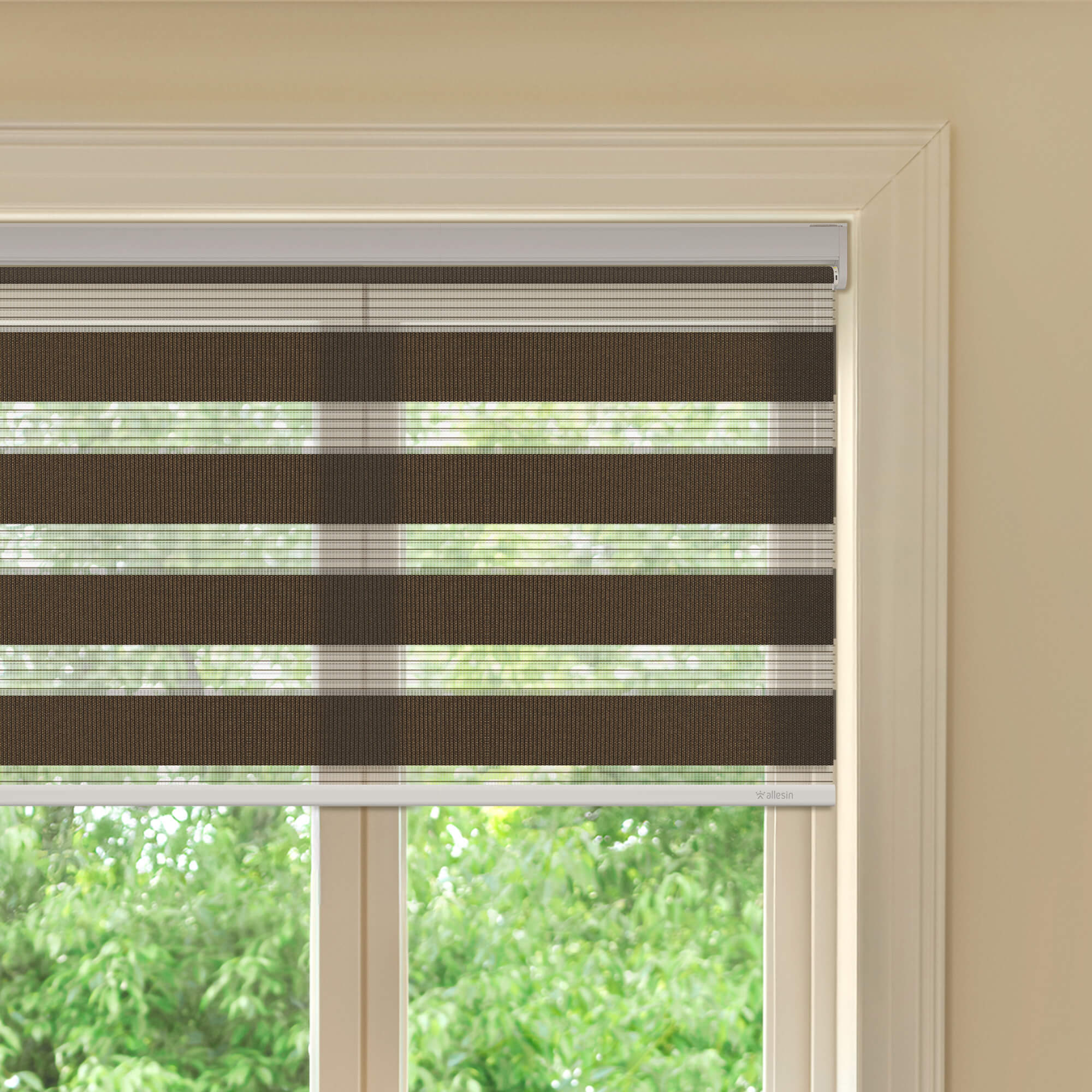 Allesin Best-Value Motorized Zebra Shades