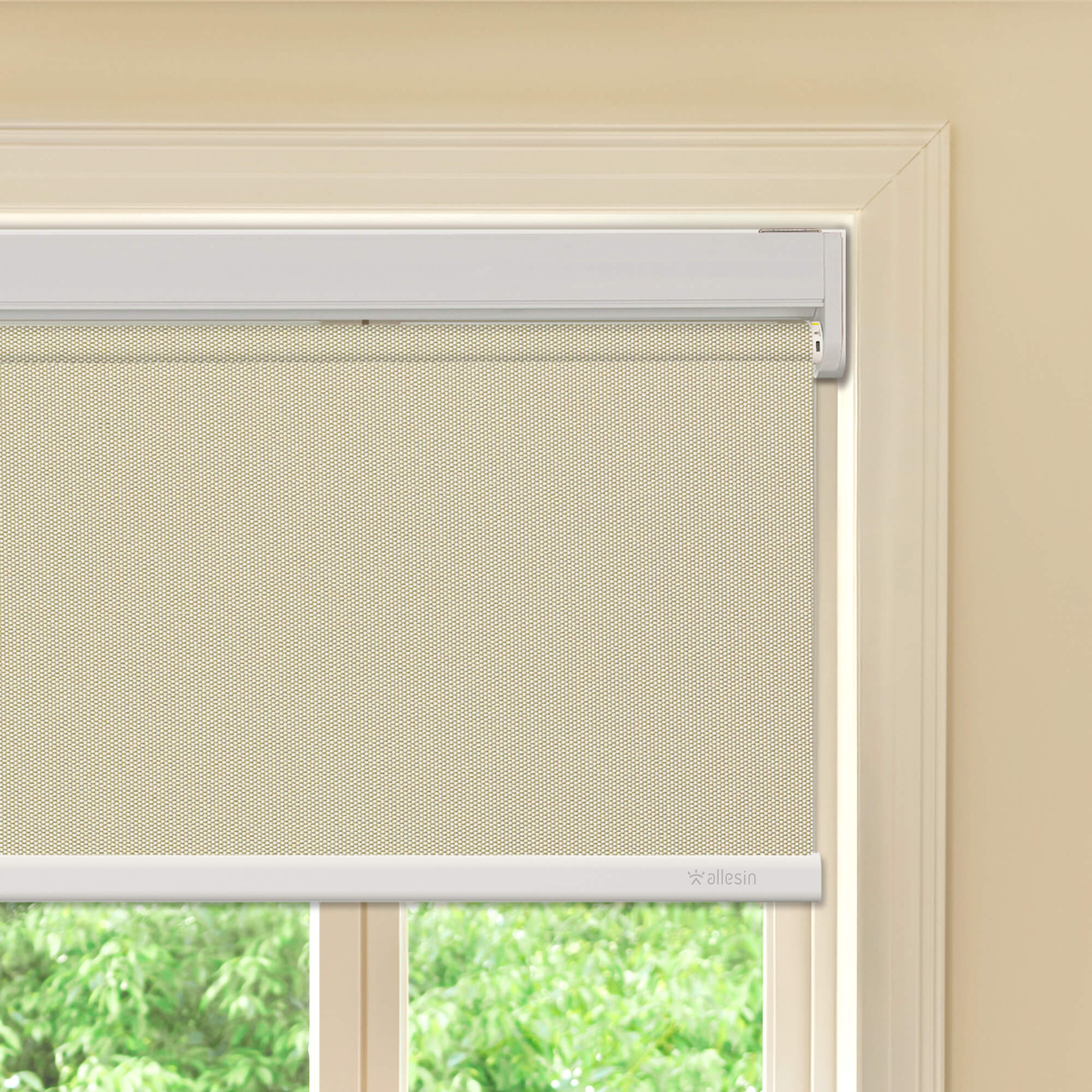 Allesin Best-Value Motorized Blackout Roller Shades