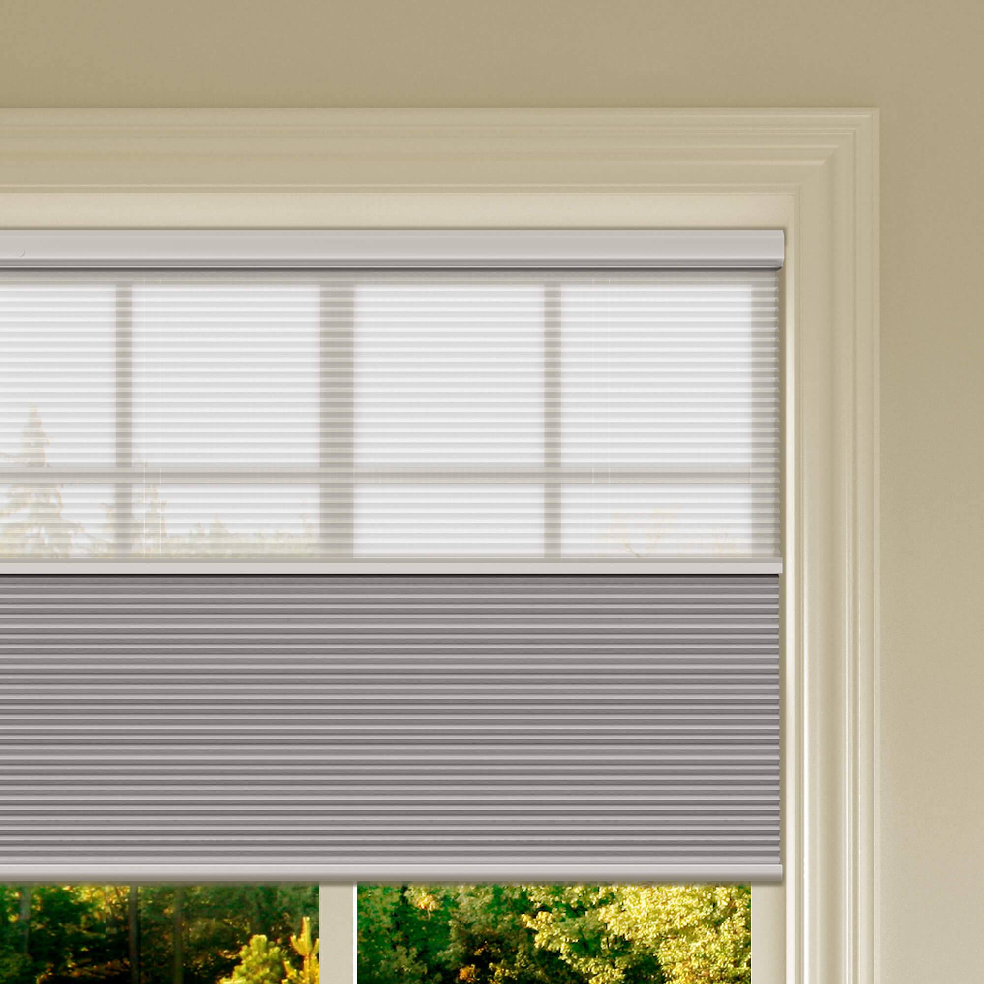 Allesin Prestige Motorized Day/Night Honeycomb Shades