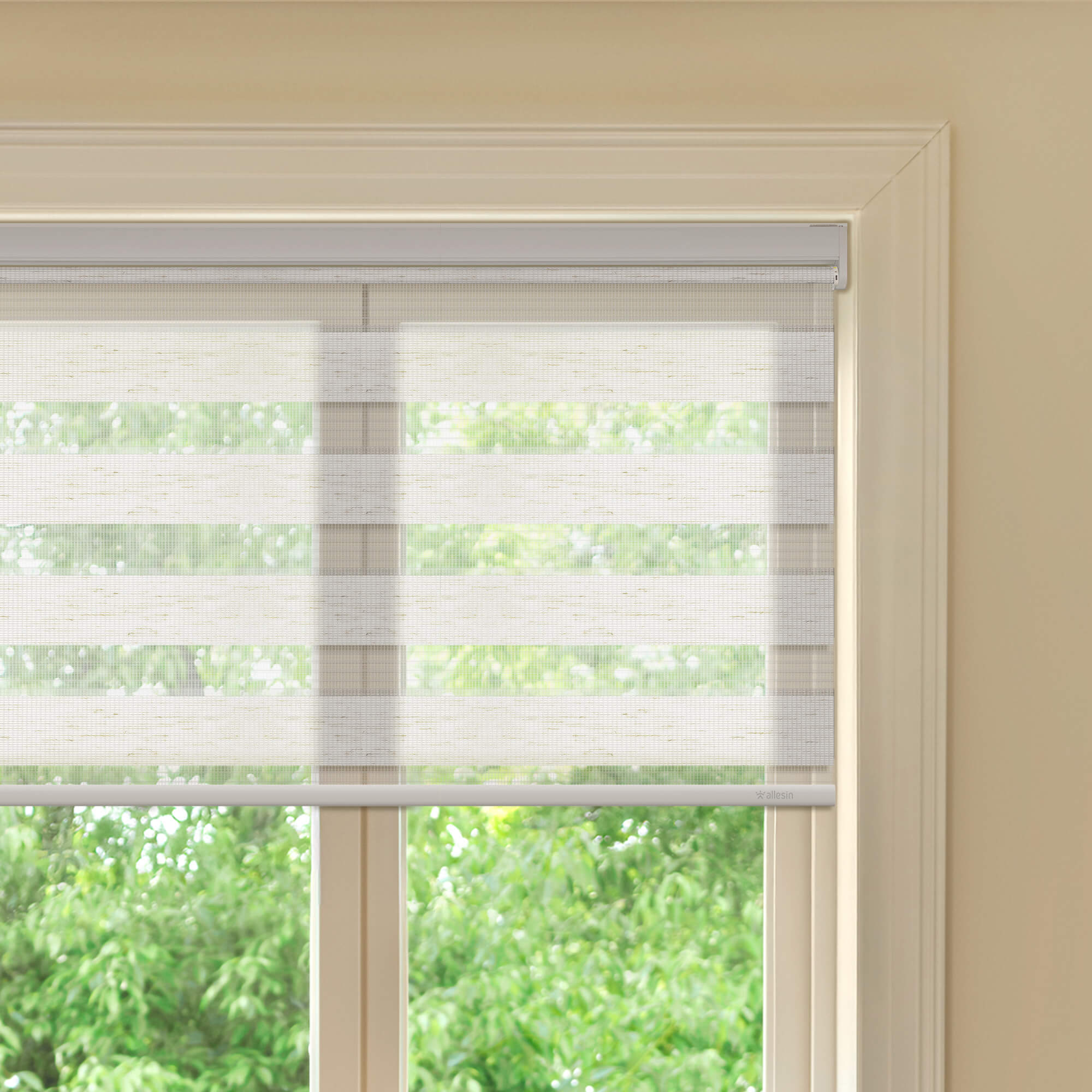 Allesin Best-Value Motorized Zebra Shades