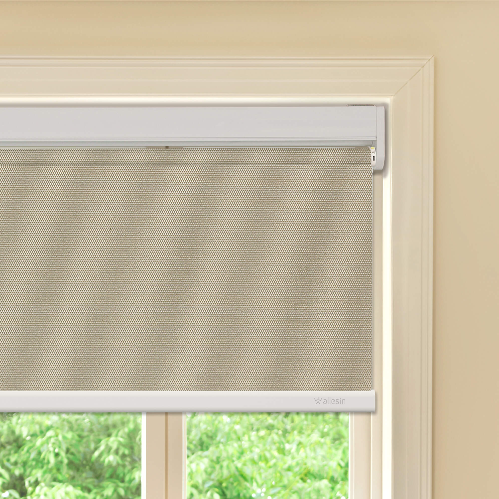Allesin Best-Value Motorized Blackout Roller Shades