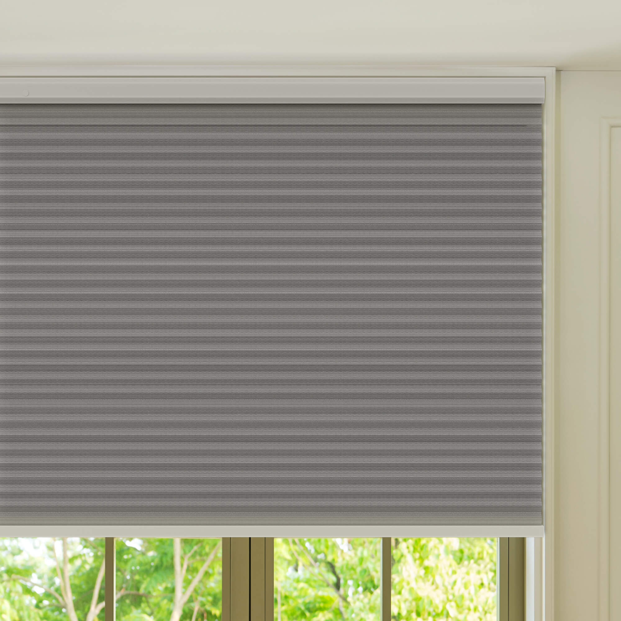 Allesin Prestige Motorized Blackout Honeycomb Shades