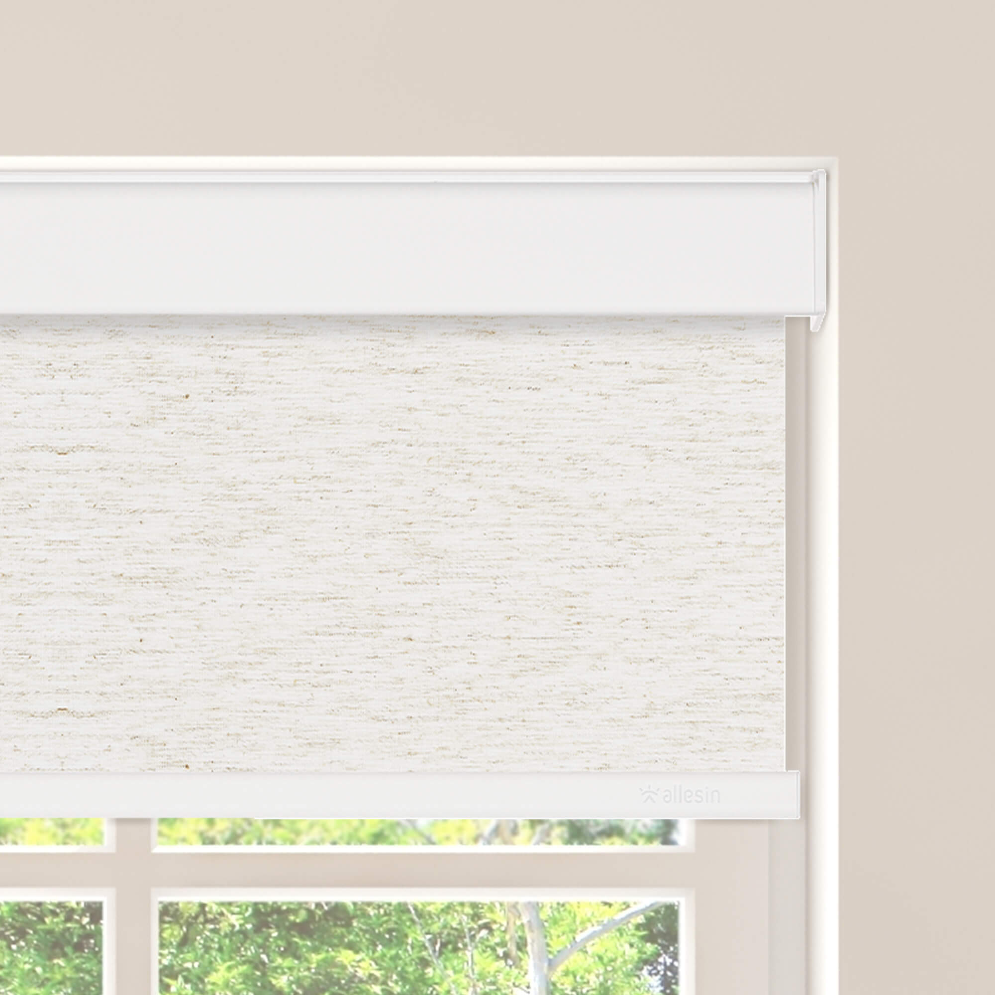 Allesin Select Motorized Blackout Roller Shades