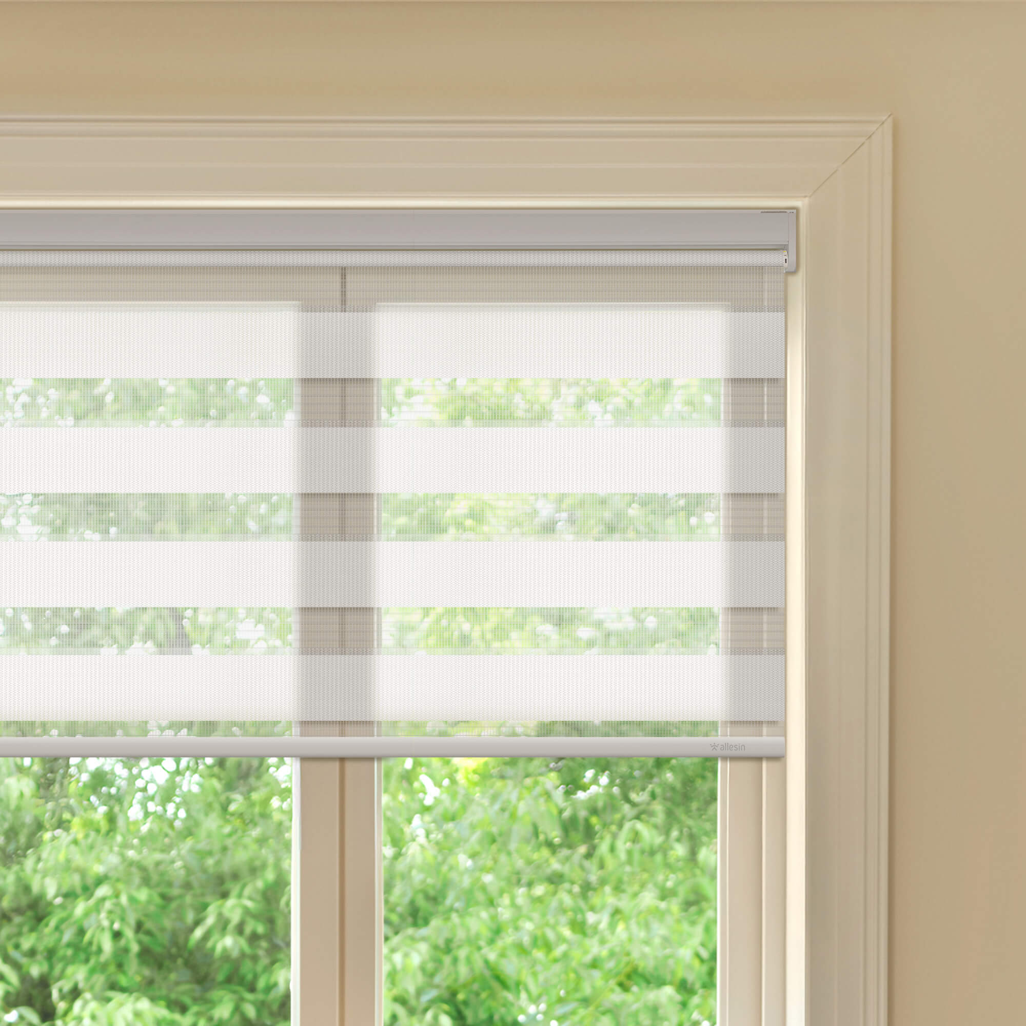 Allesin Best-Value Motorized Zebra Shades