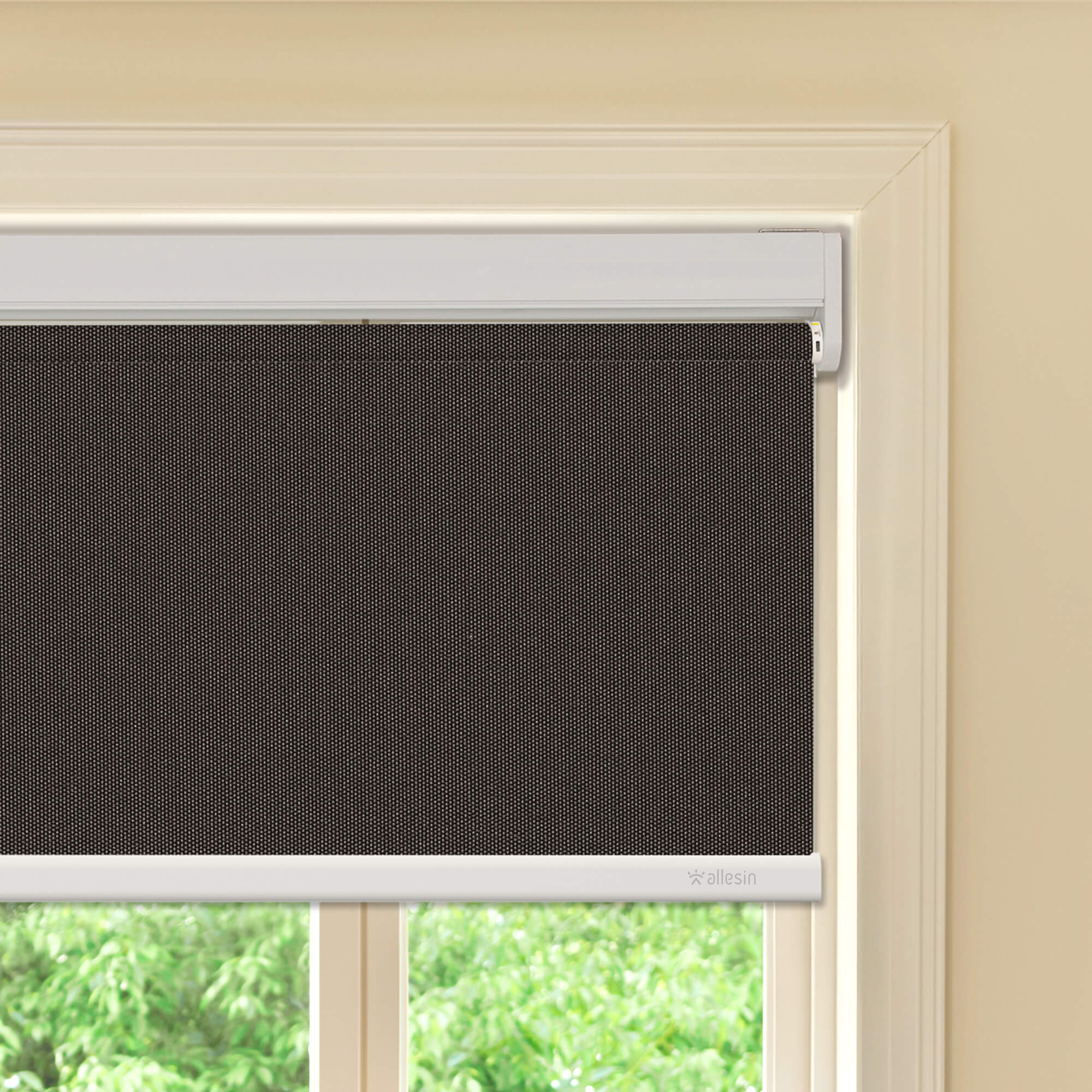 Allesin Best-Value Motorized Blackout Roller Shades