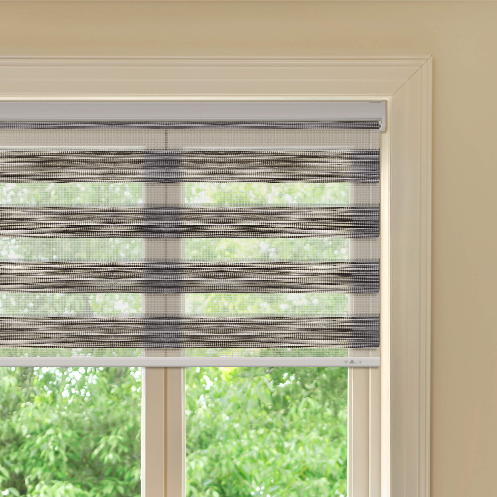 Allesin Best-Value Motorized Zebra Shades