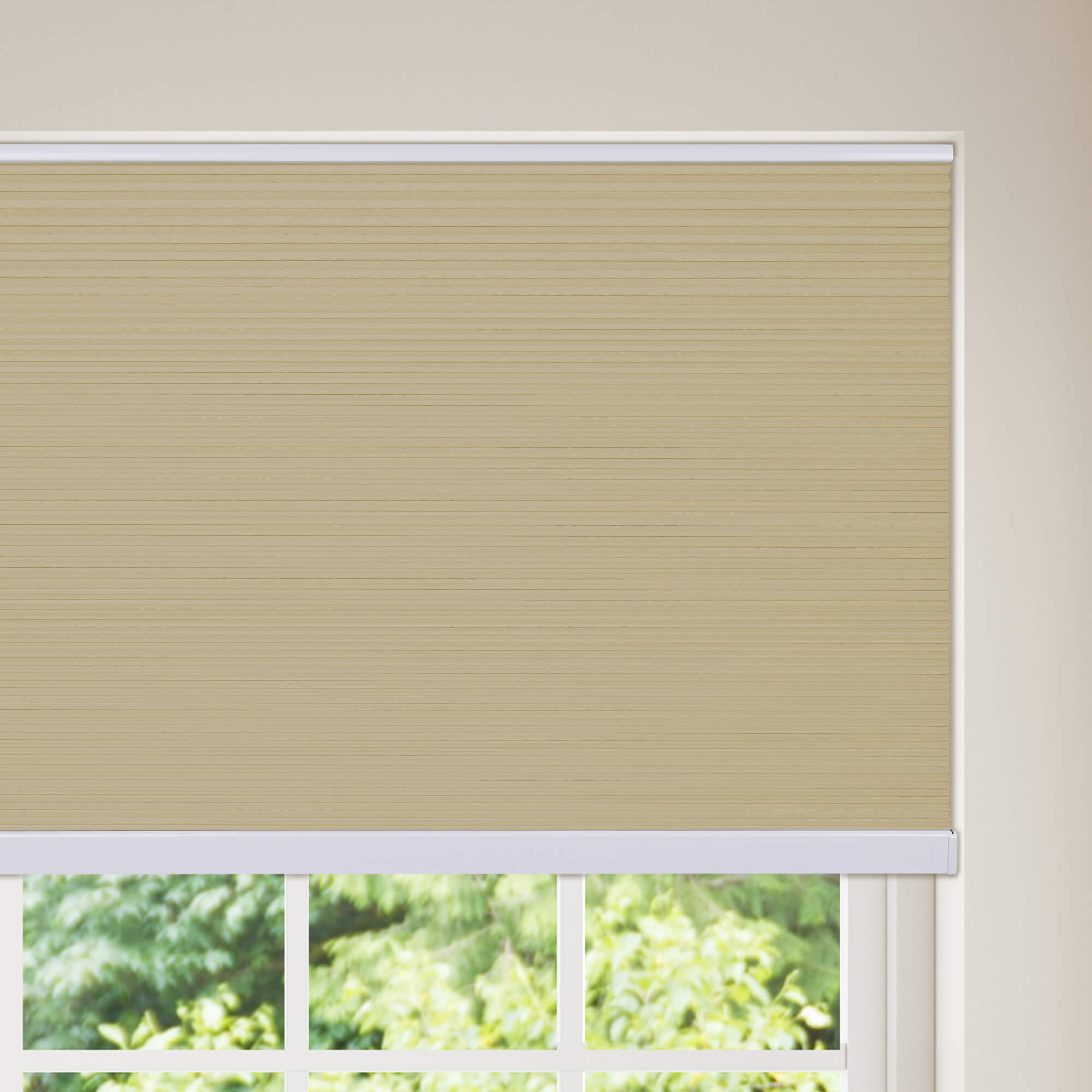 Allesin Blackout Honeycomb Shades | Bottom-mounted Motor