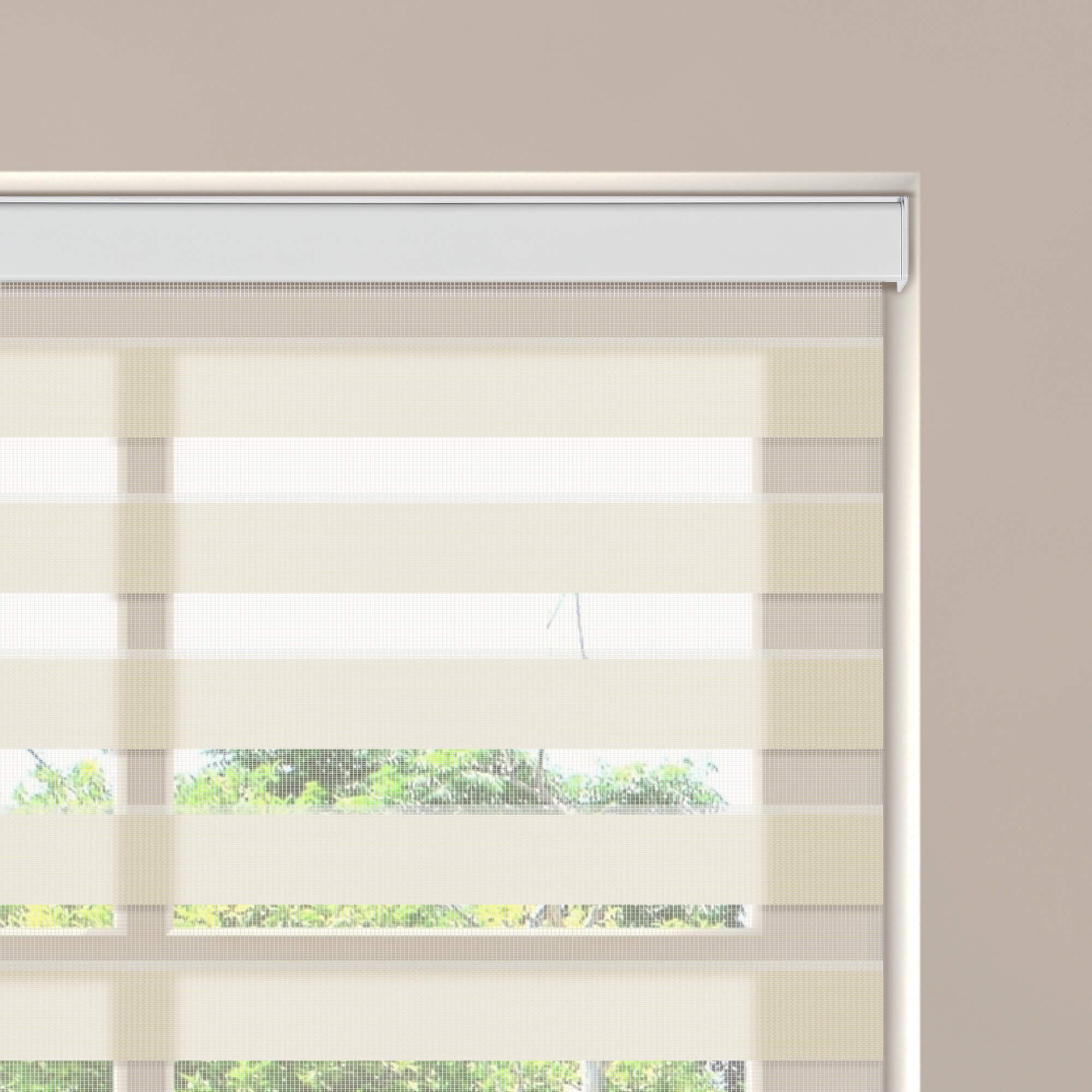 Allesin Motorized Zebra Shades