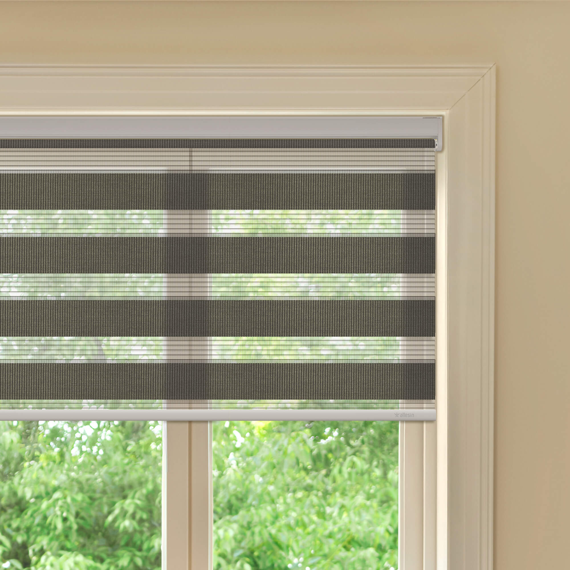 Allesin Best-Value Motorized Zebra Shades