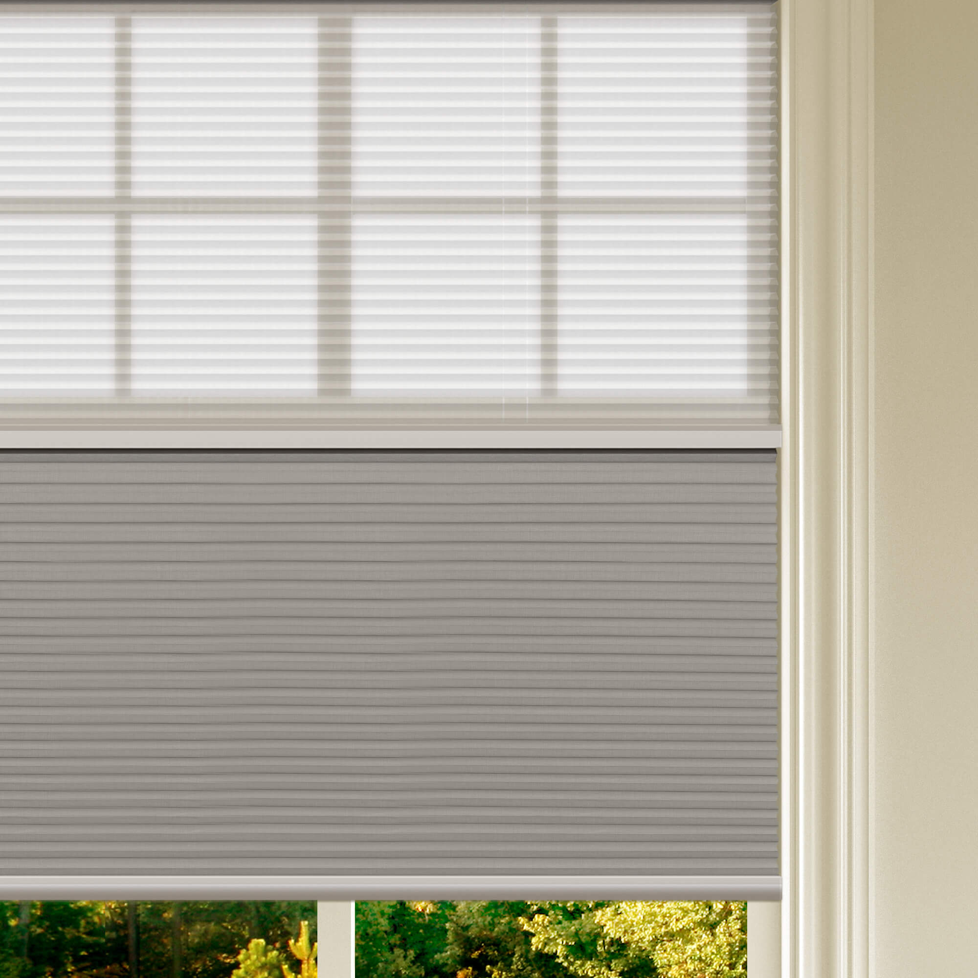 Allesin Prestige Motorized Day/Night Honeycomb Shades