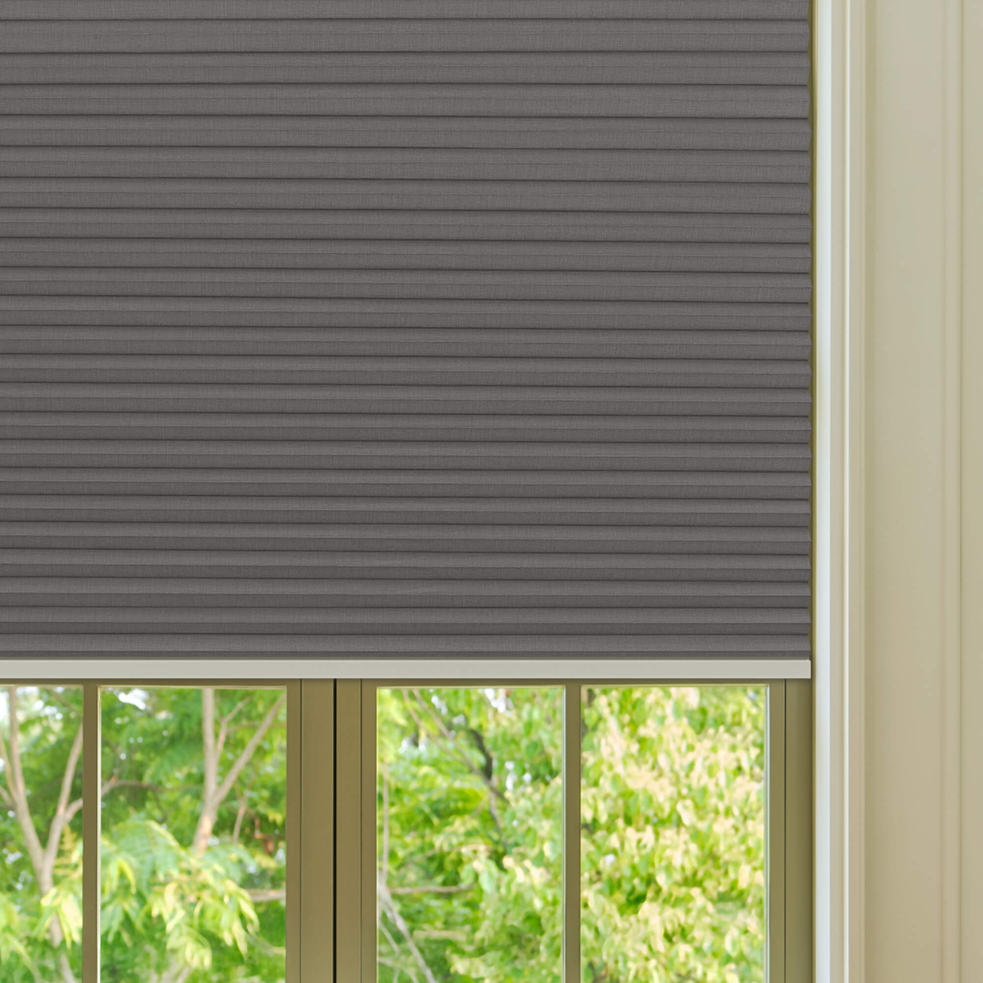 Allesin Prestige Motorized Blackout Honeycomb Shades