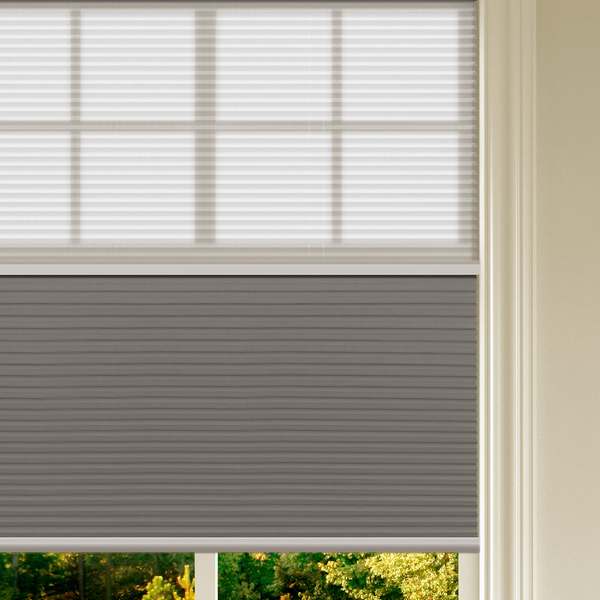 Allesin Prestige Motorized Day/Night Honeycomb Shades