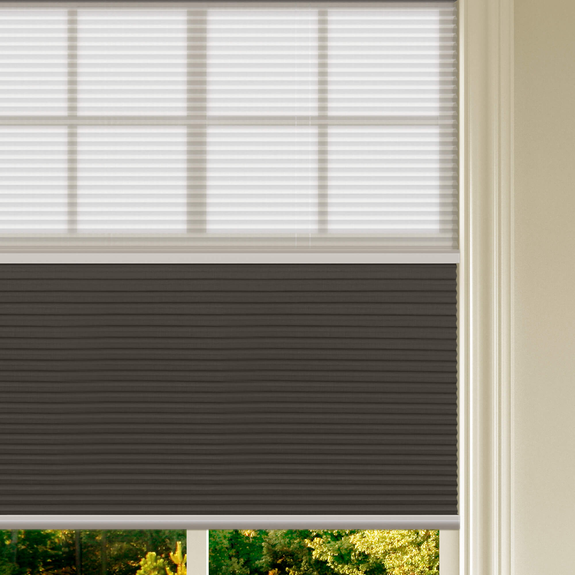 Allesin Prestige Motorized Day/Night Honeycomb Shades