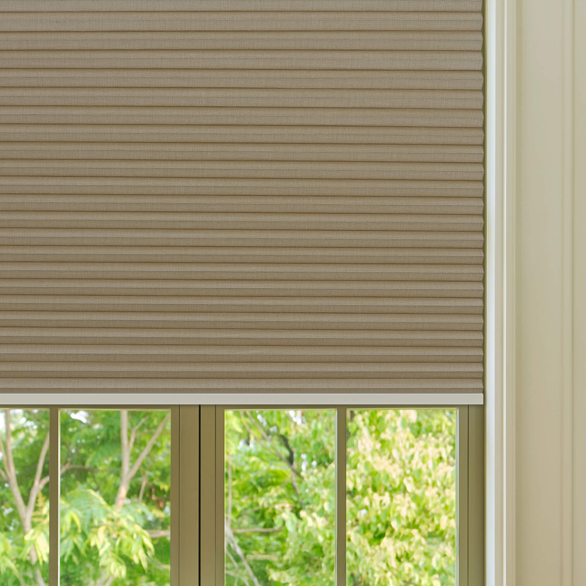 Allesin Prestige Motorized Blackout Honeycomb Shades