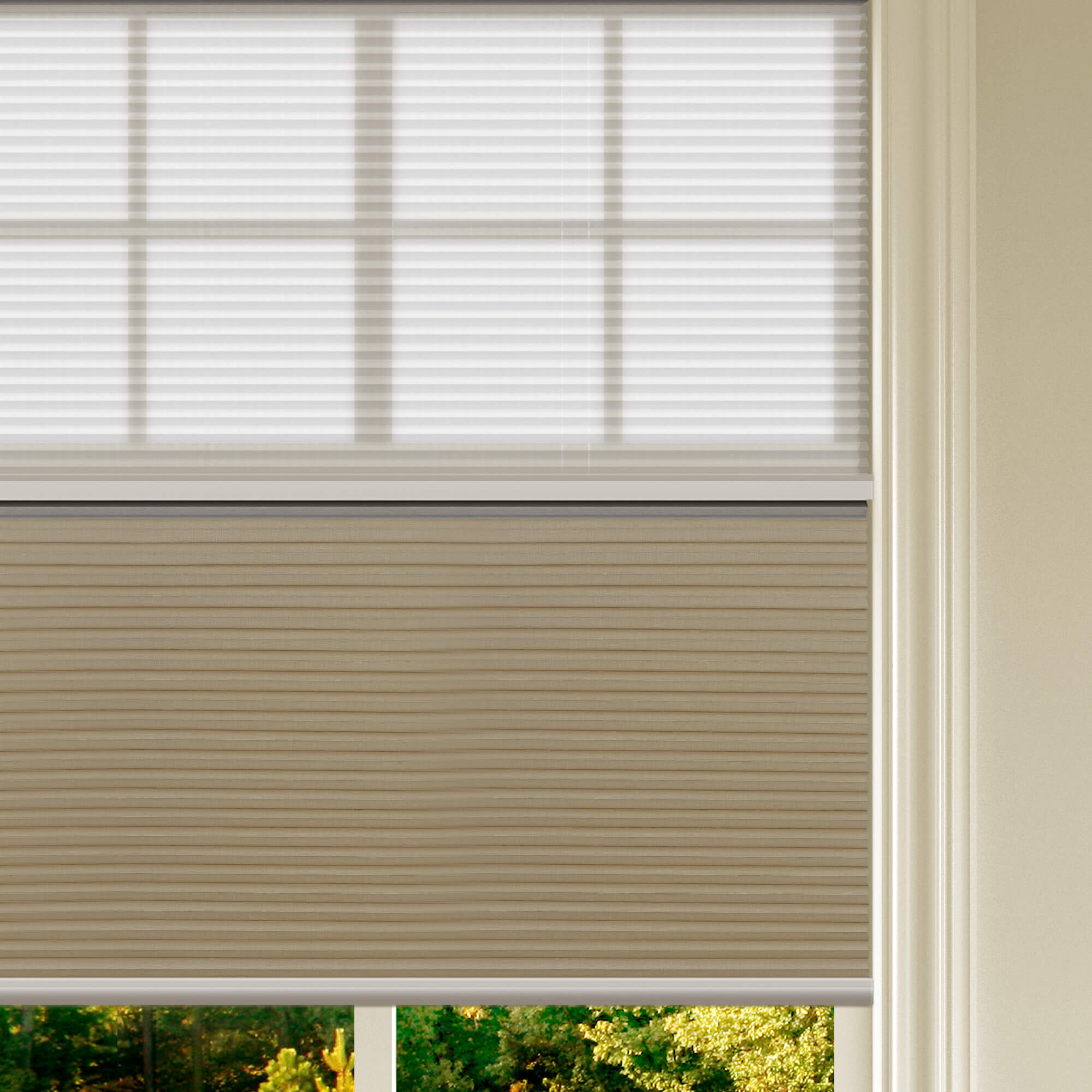 Allesin Prestige Motorized Day/Night Honeycomb Shades