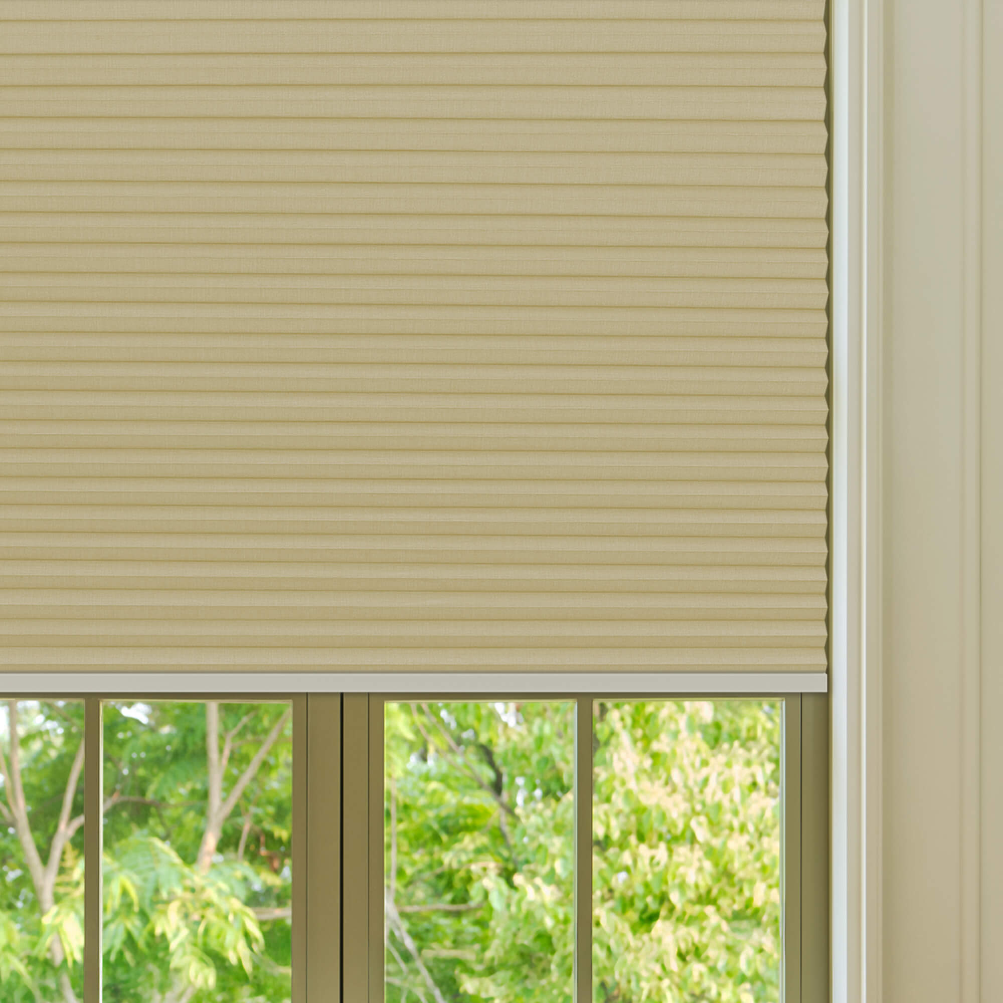 Allesin Prestige Motorized Blackout Honeycomb Shades