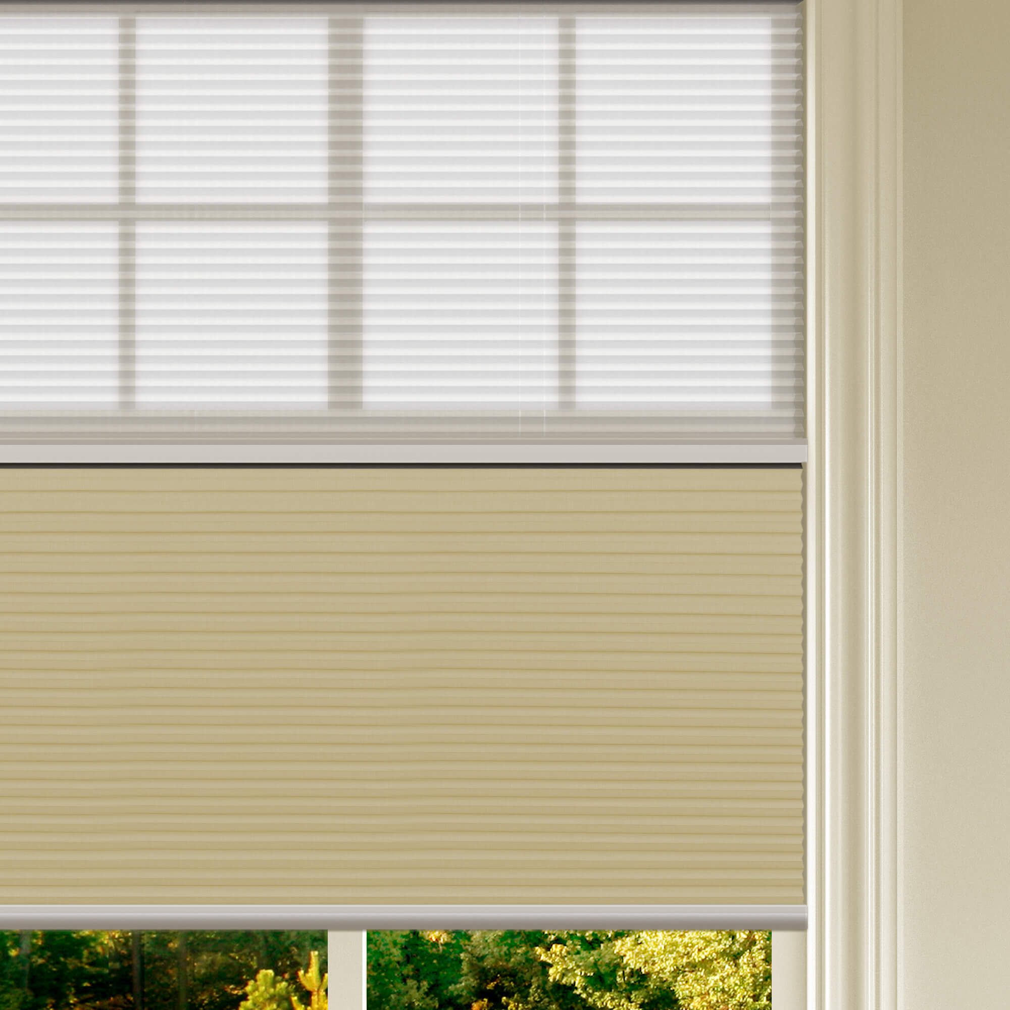 Allesin Prestige Motorized Day/Night Honeycomb Shades