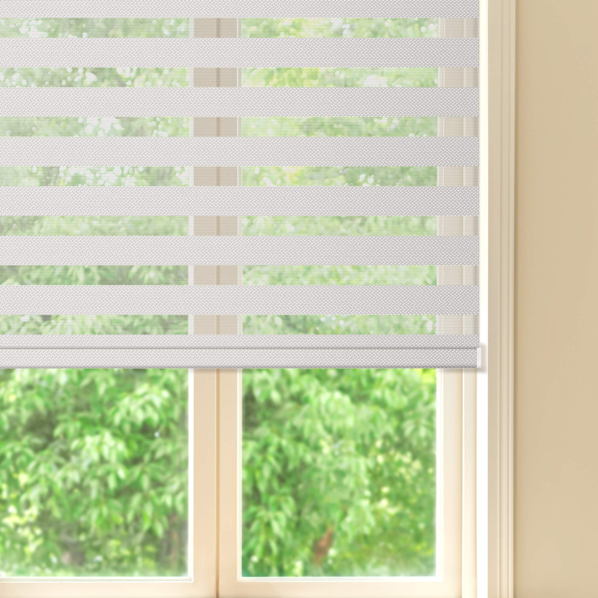 Allesin Prestige Motorized Zebra Shades