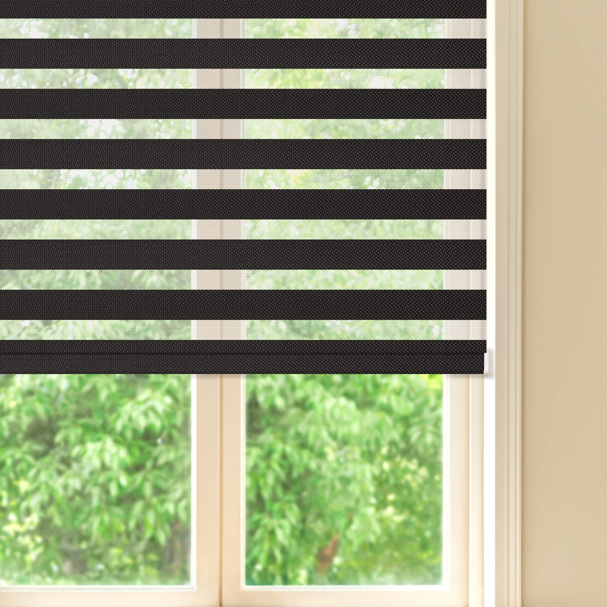 Allesin Prestige Motorized Zebra Shades