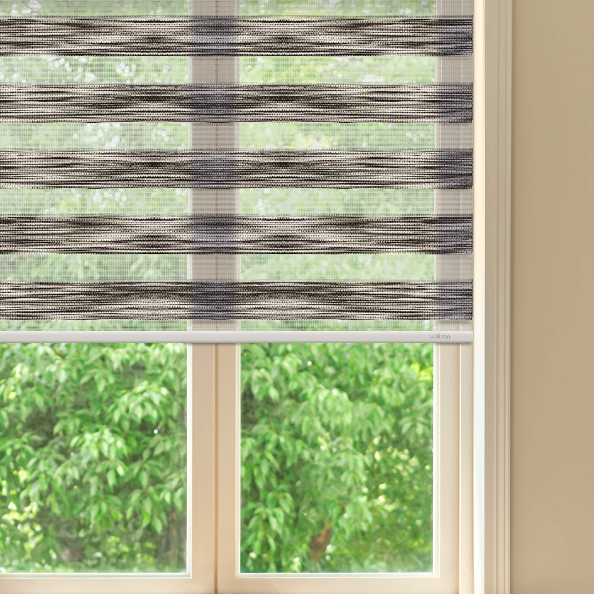 Allesin Motorized Zebra Shades