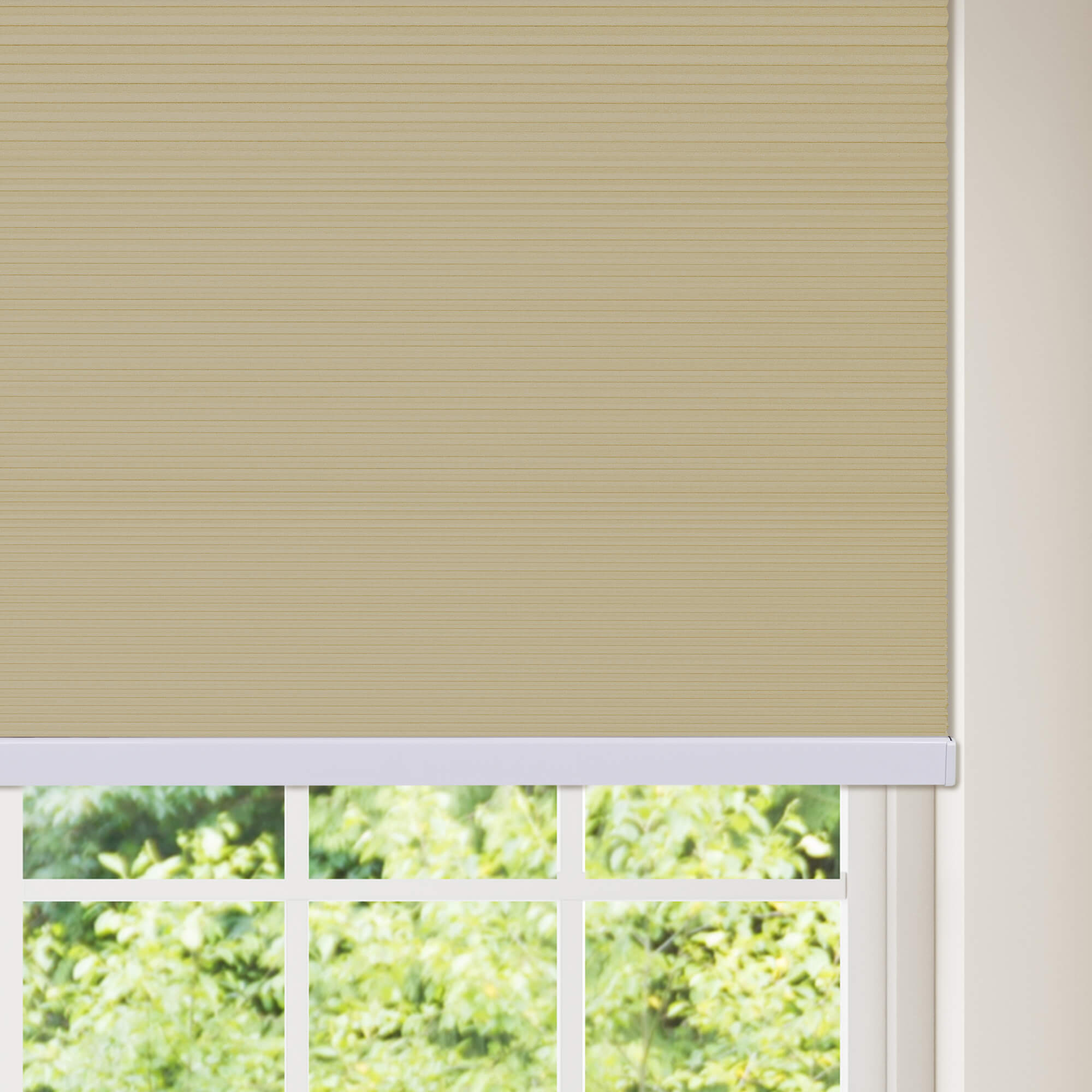 Allesin Blackout Honeycomb Shades | Bottom-mounted Motor