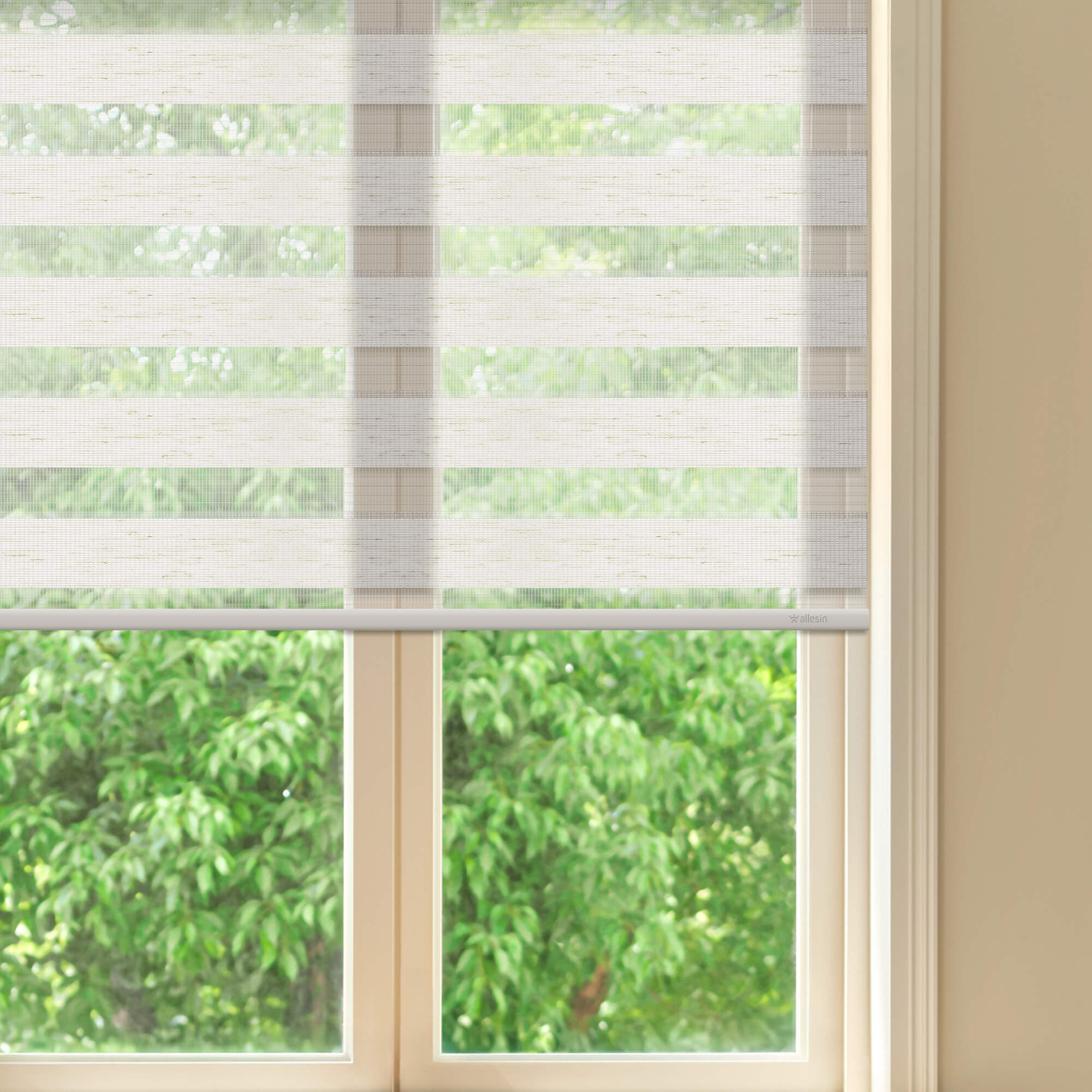 Allesin Motorized Zebra Shades