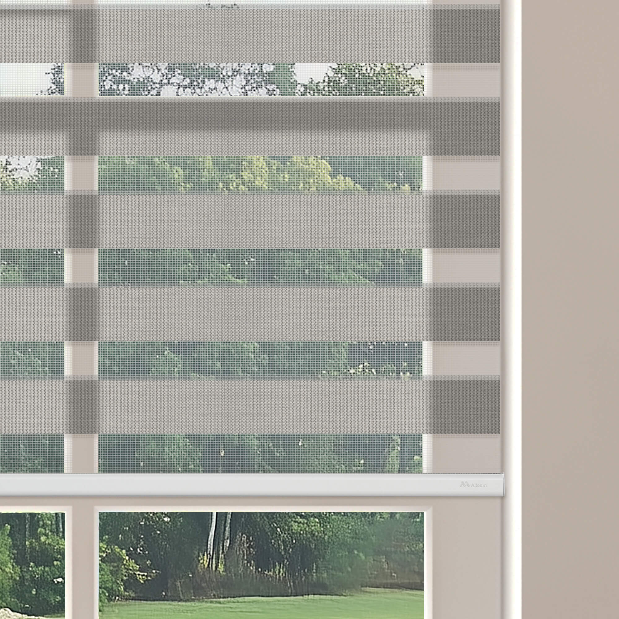 Allesin Motorized Zebra Shades