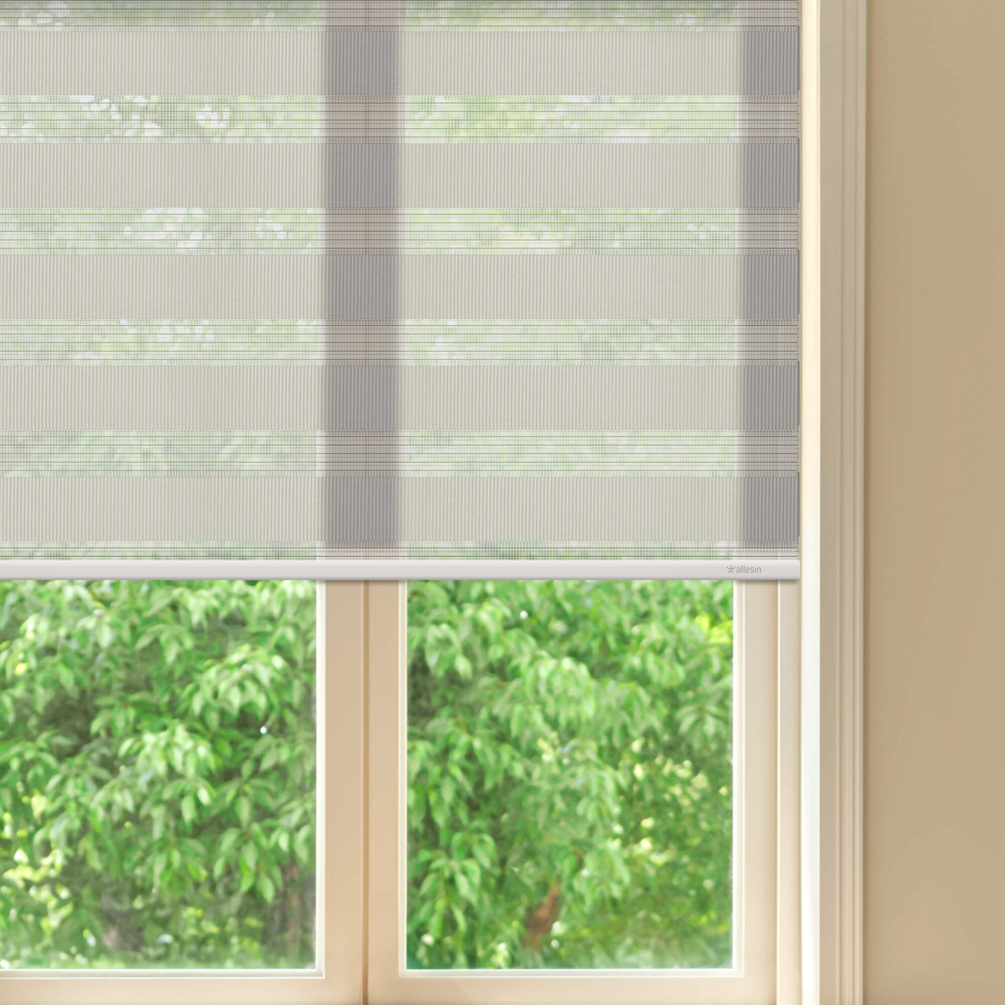 Allesin Motorized Zebra Shades