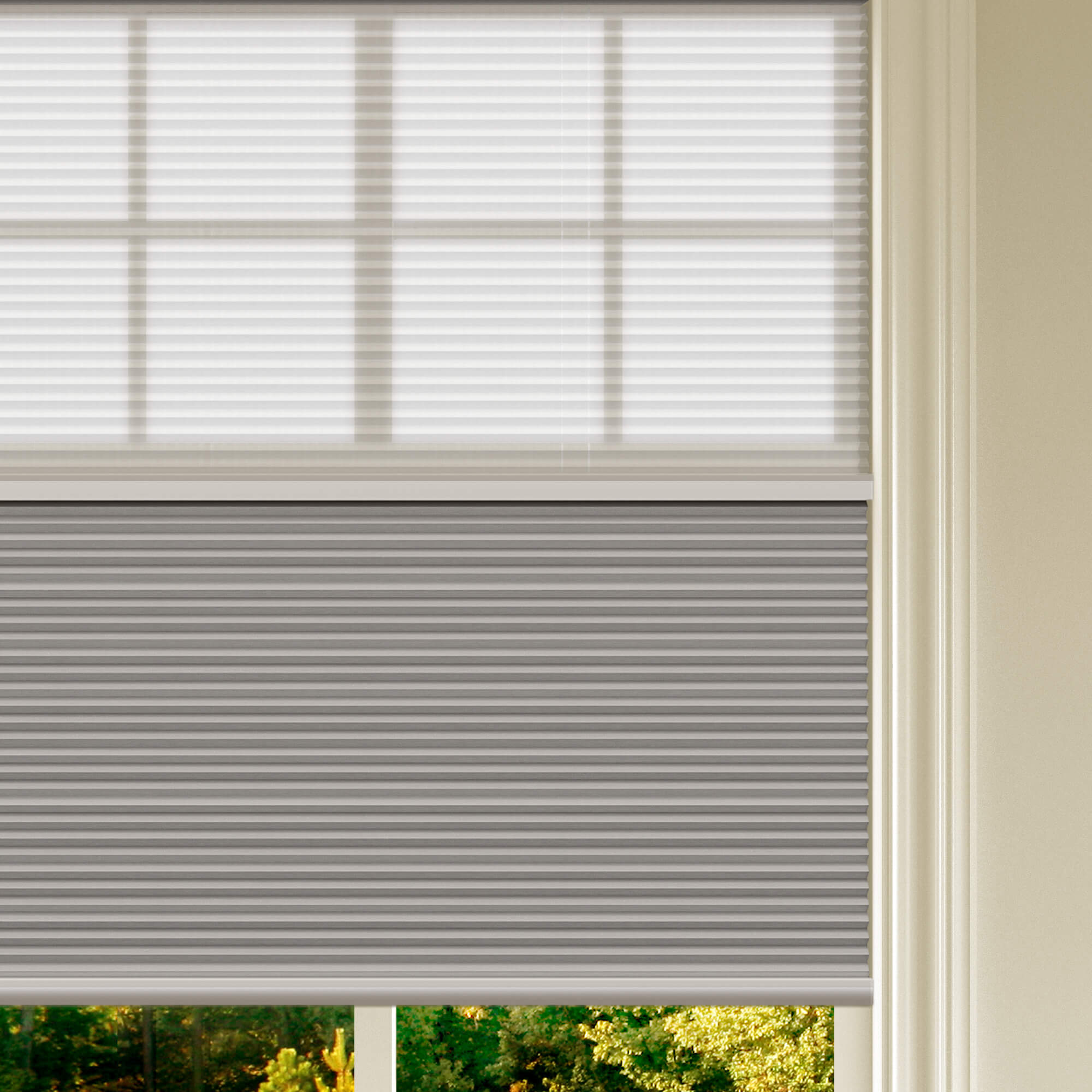 Allesin Prestige Motorized Day/Night Honeycomb Shades