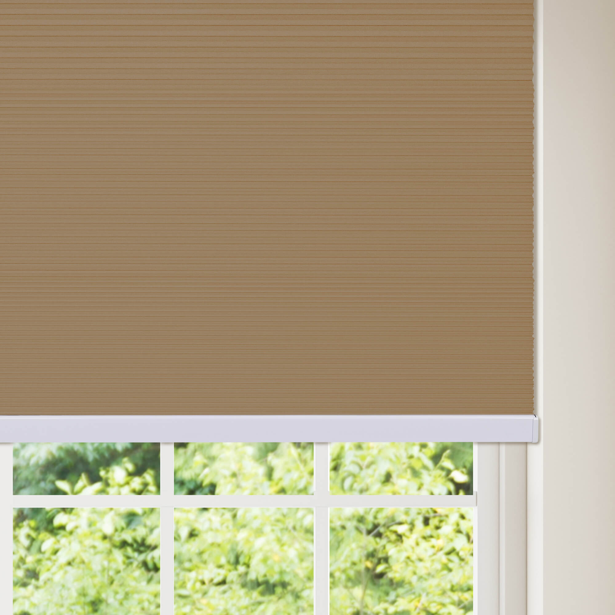 Allesin Blackout Honeycomb Shades | Bottom-mounted Motor